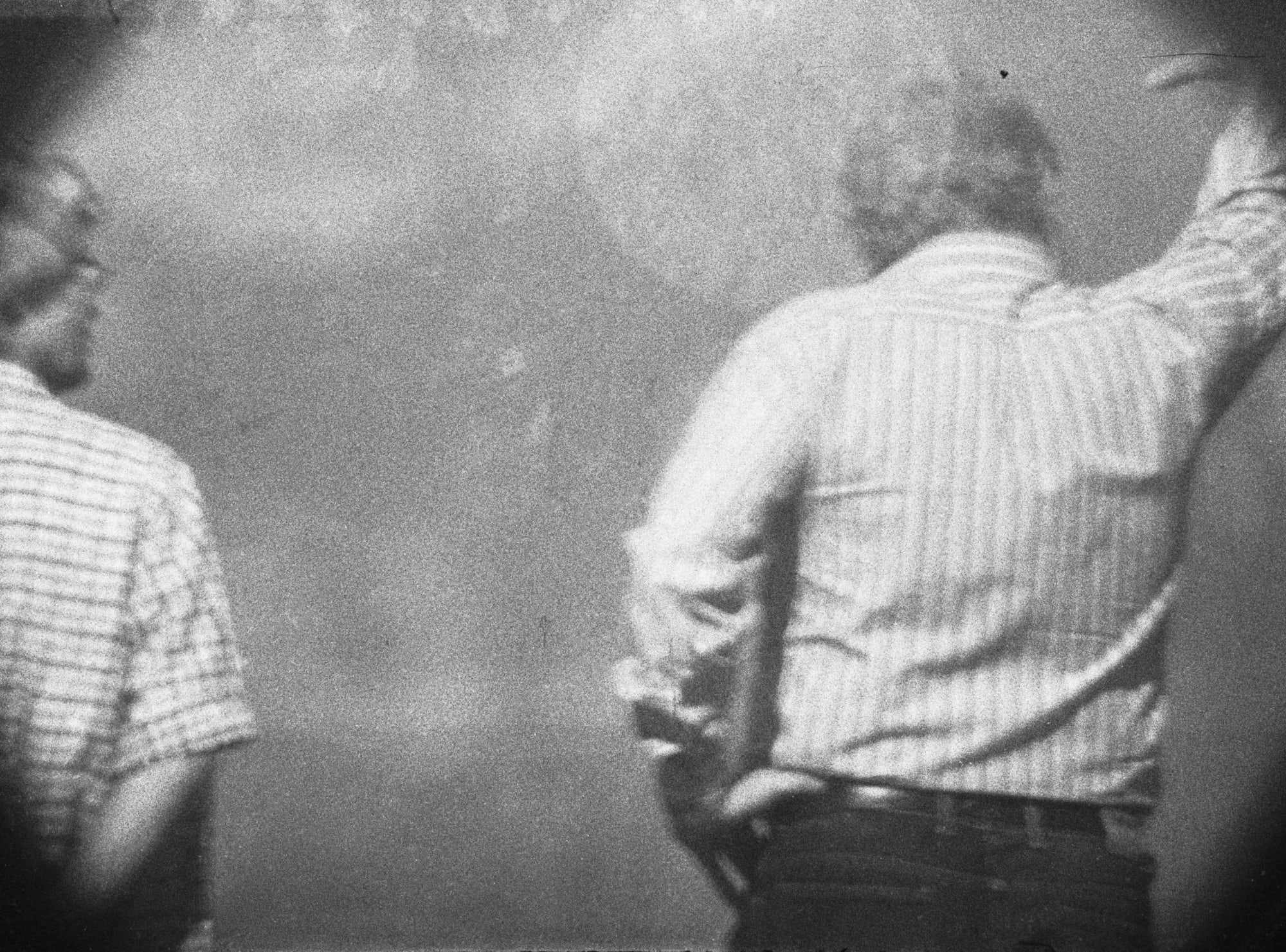 Door de ogen van Willem Van Zoetendaal