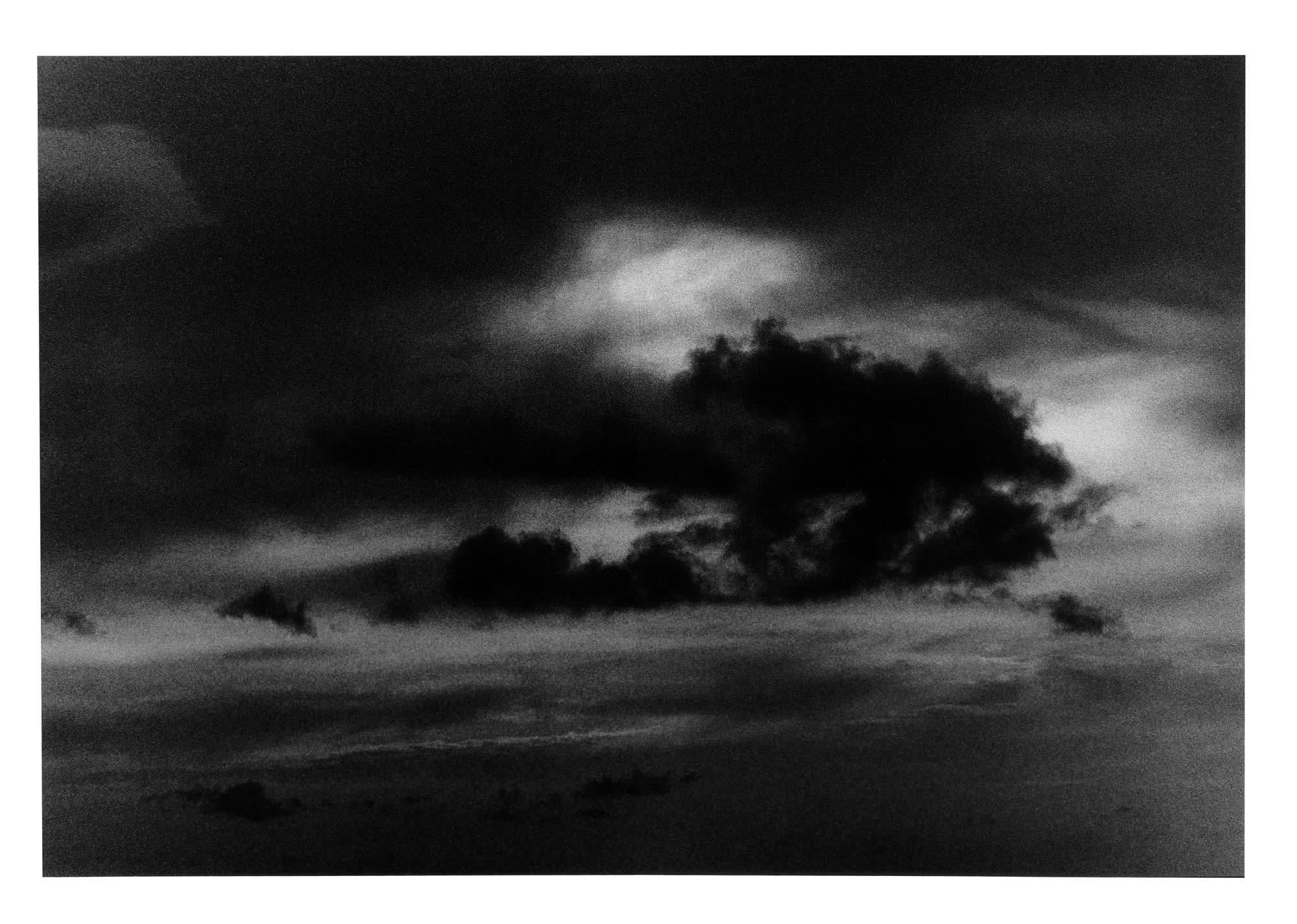 Summer in the City '24