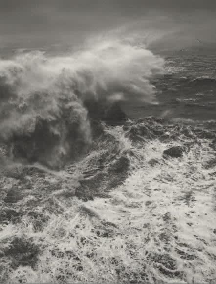 Summer in the City '24