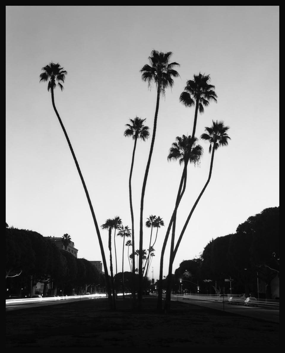 Summer in the City ‘25