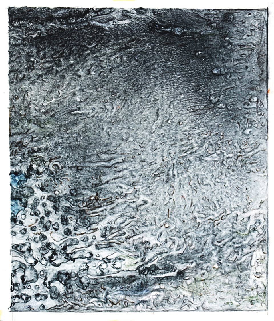 Corallium 12 © Virginia Bradley 2022. oil on transparent film 11”x9”