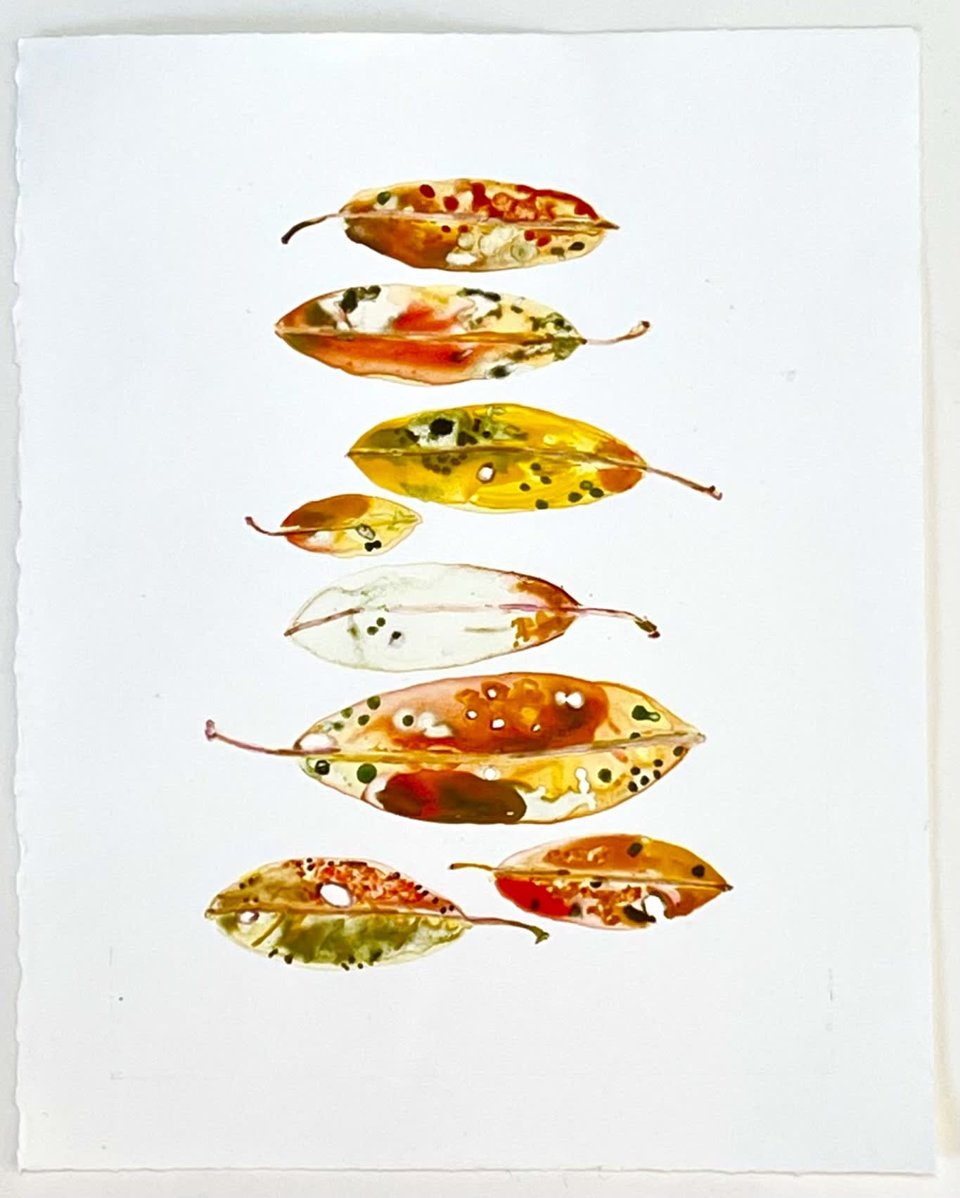 Katie deGroot, 8 Yellow Leaves, watercolor monotype on paper, 2022 , 14" x 11" inches courtesy: Galerie Gris, Hudson N.Y.