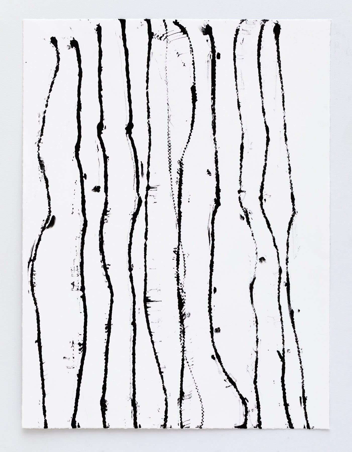 LYNNE TOBIN | Line Studies Drawings
