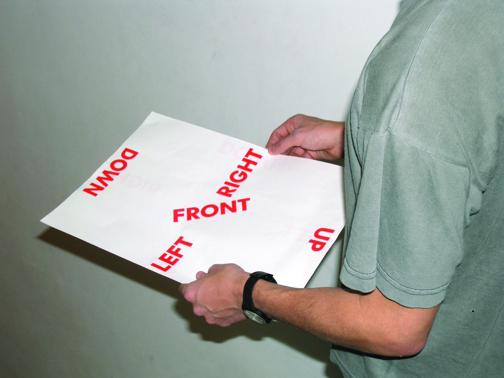 Alexandra Bachzetsis