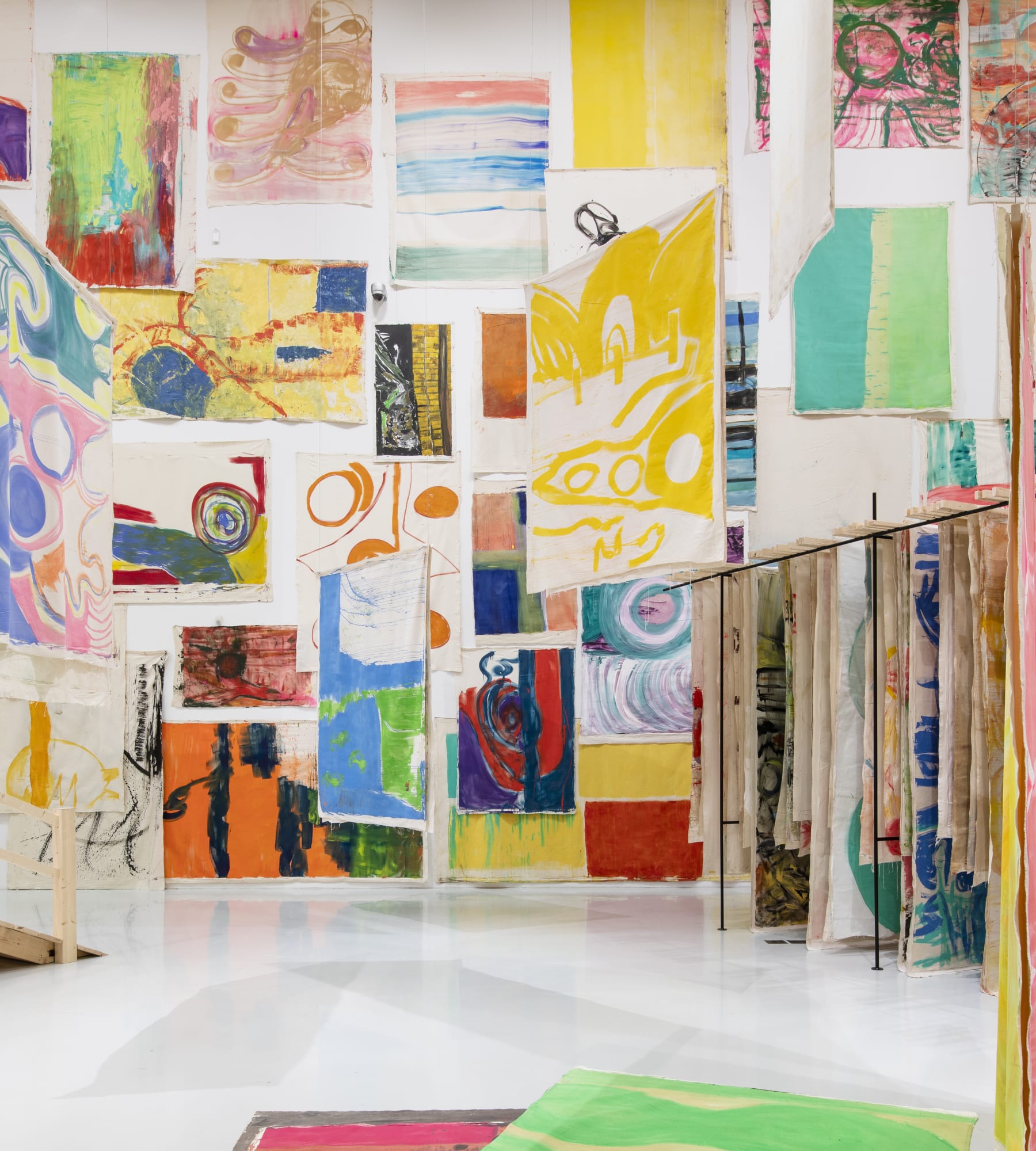 Vivian Suter: I am Godzilla