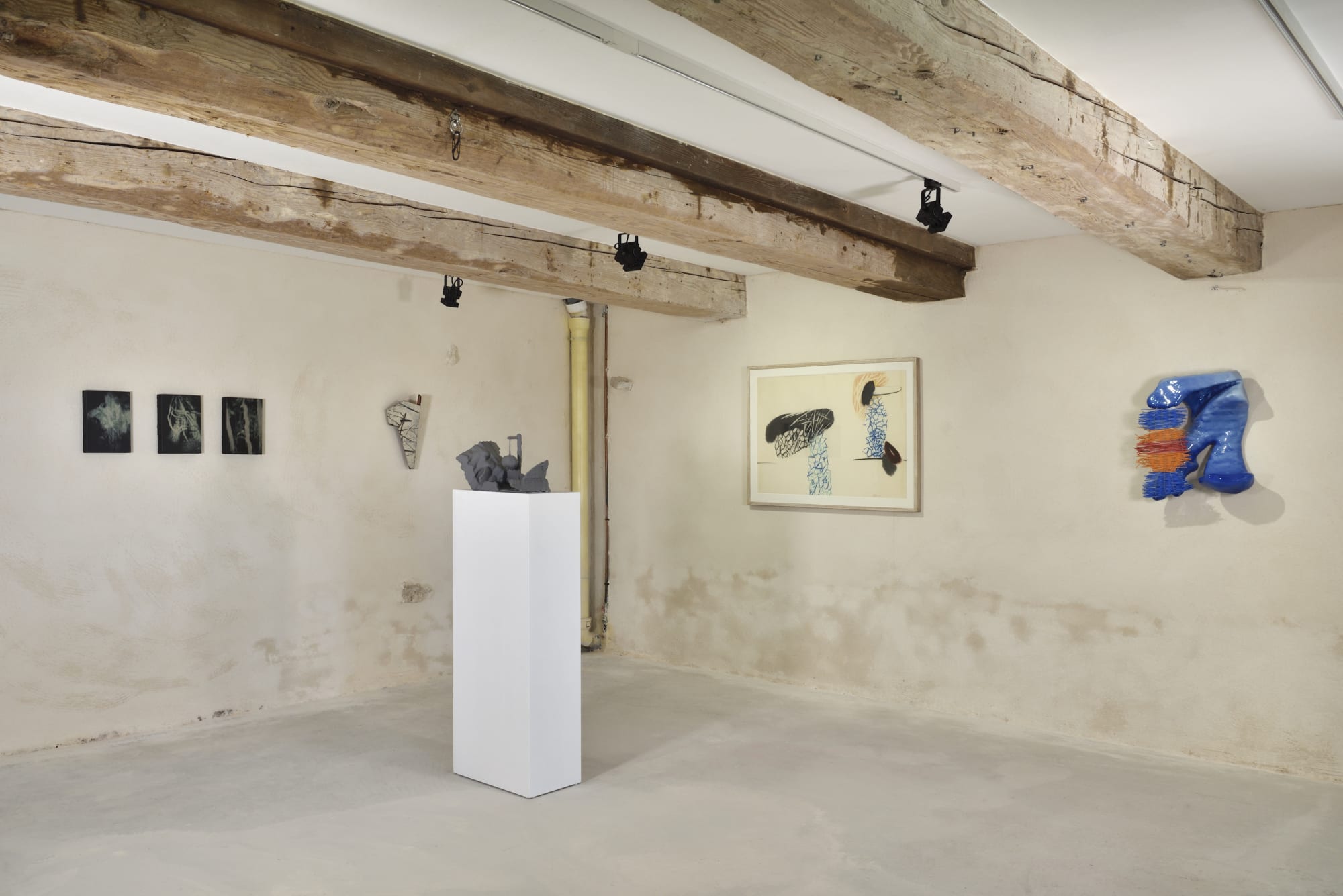 LE POUVOIR DES FORMES. INTRODUCTION À LA RAISON SENSIBLE