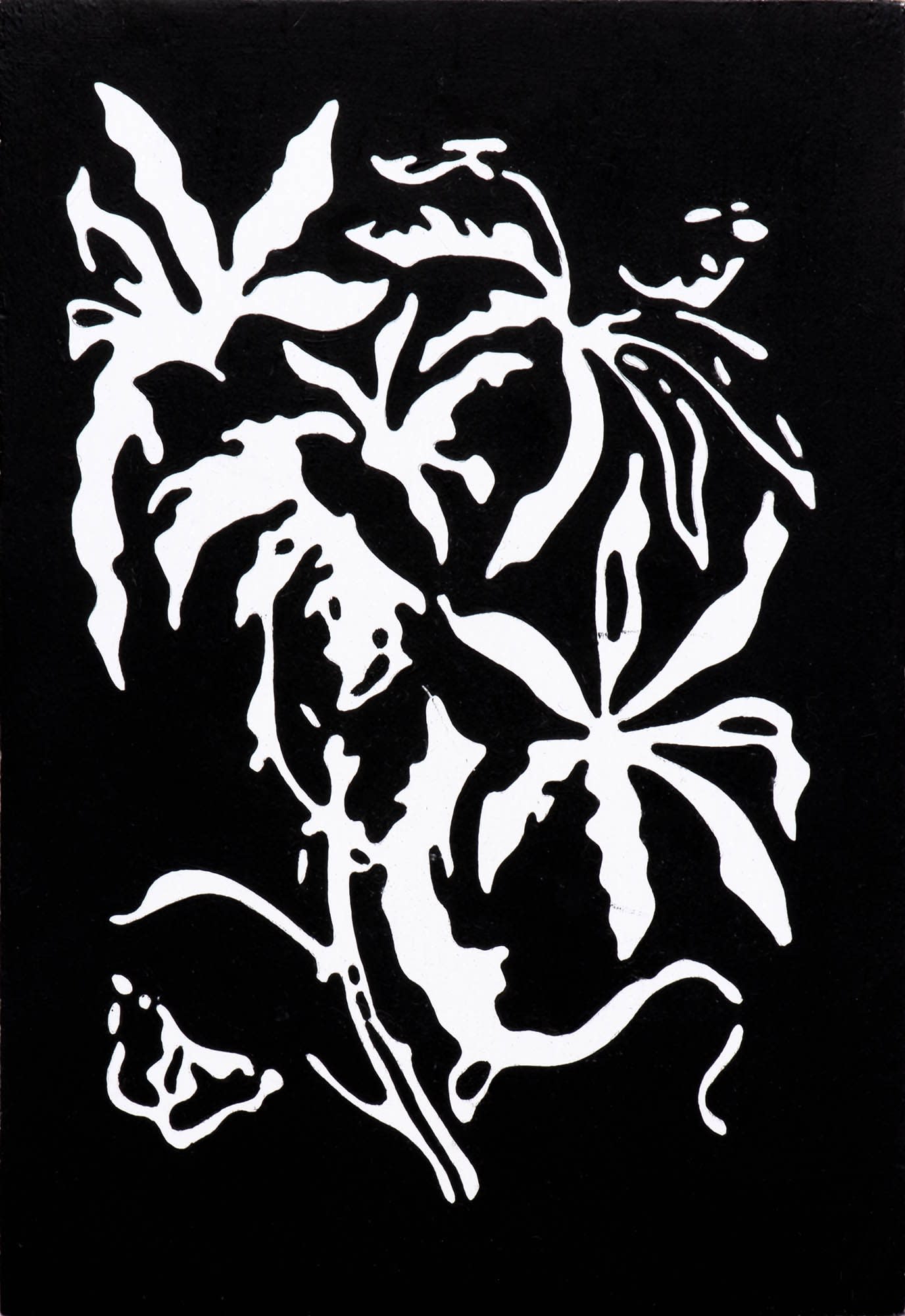 Markus Huemer, SelbstbestaeubCookieCA, 2014