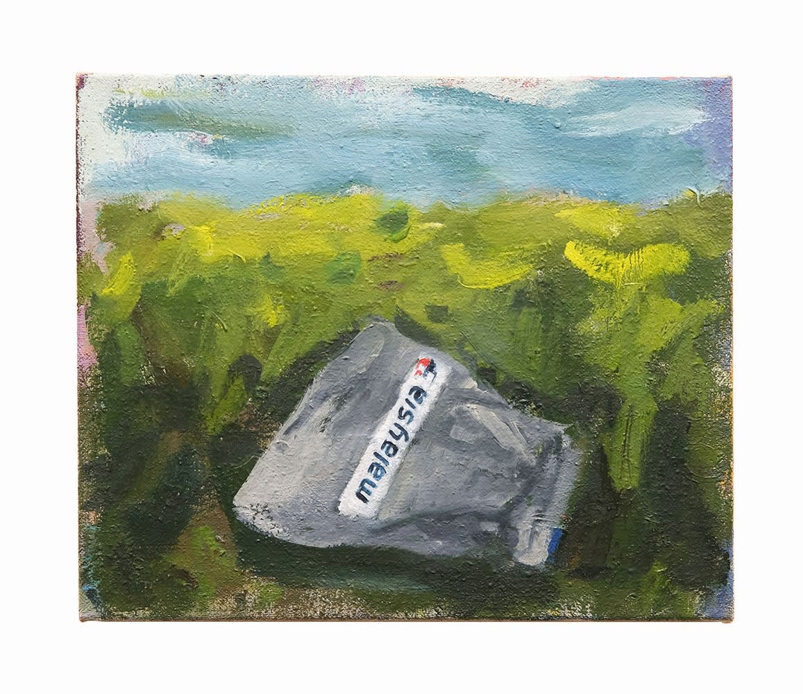 Michael Ornauer, Flug der MH17, 2024