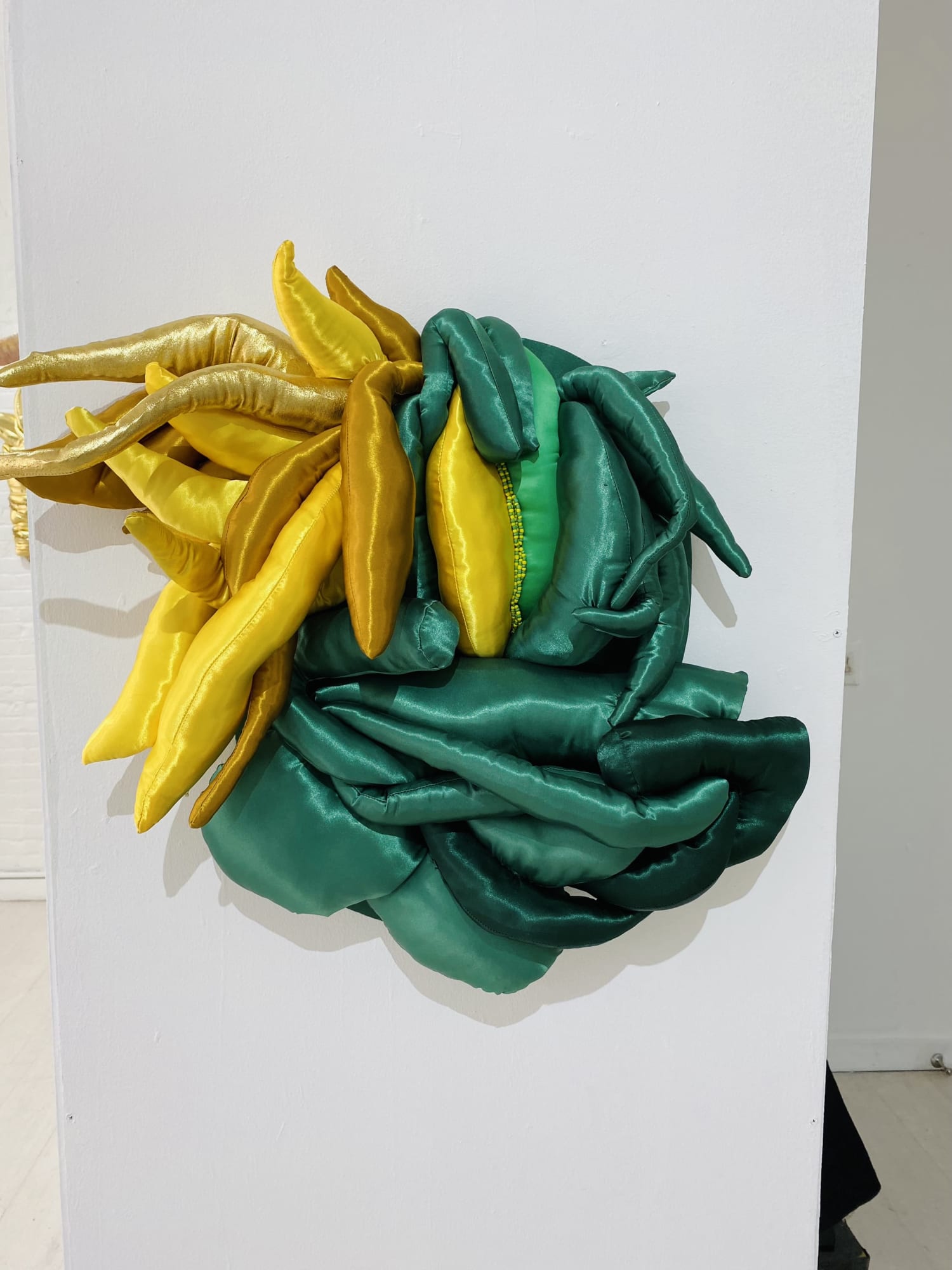 Elio Rodriguez: Junglas