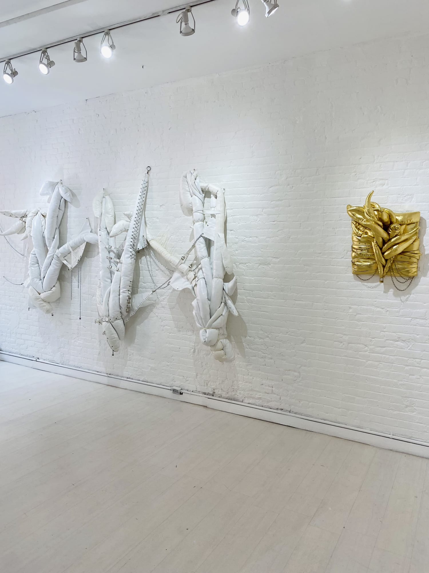 Elio Rodriguez: Junglas