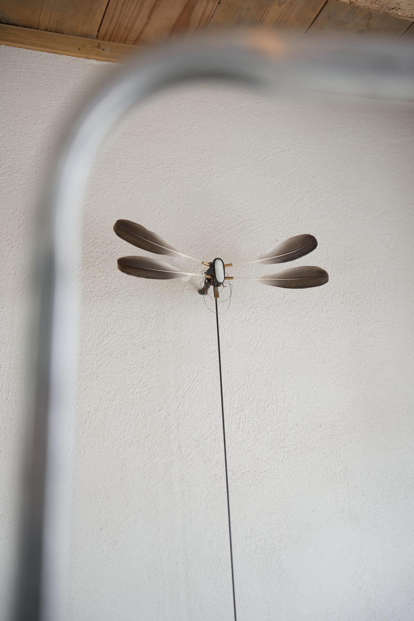 ANTHONY LEENDERS & PENELOPE DELTOUR AT NATHALIE DEBOEL IN OOSTKERKE