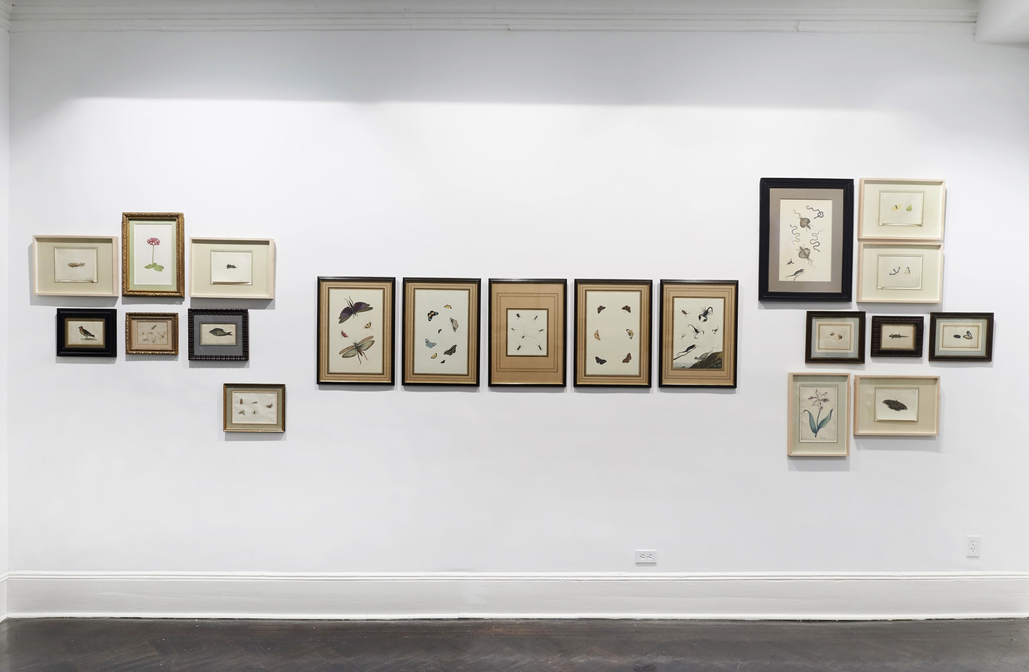 Master Drawings 2014