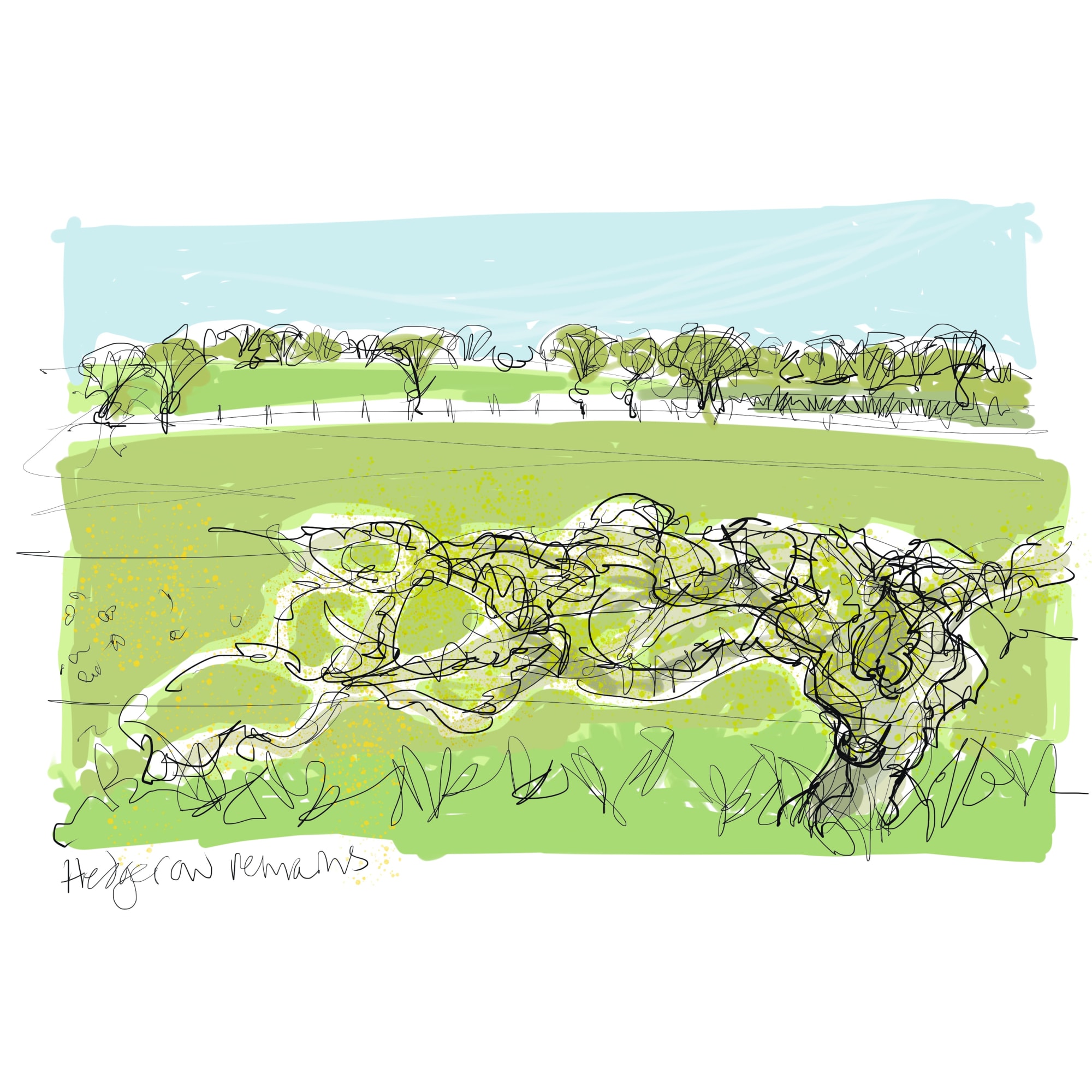 Hedgerow (from 26 Habitats), 2021