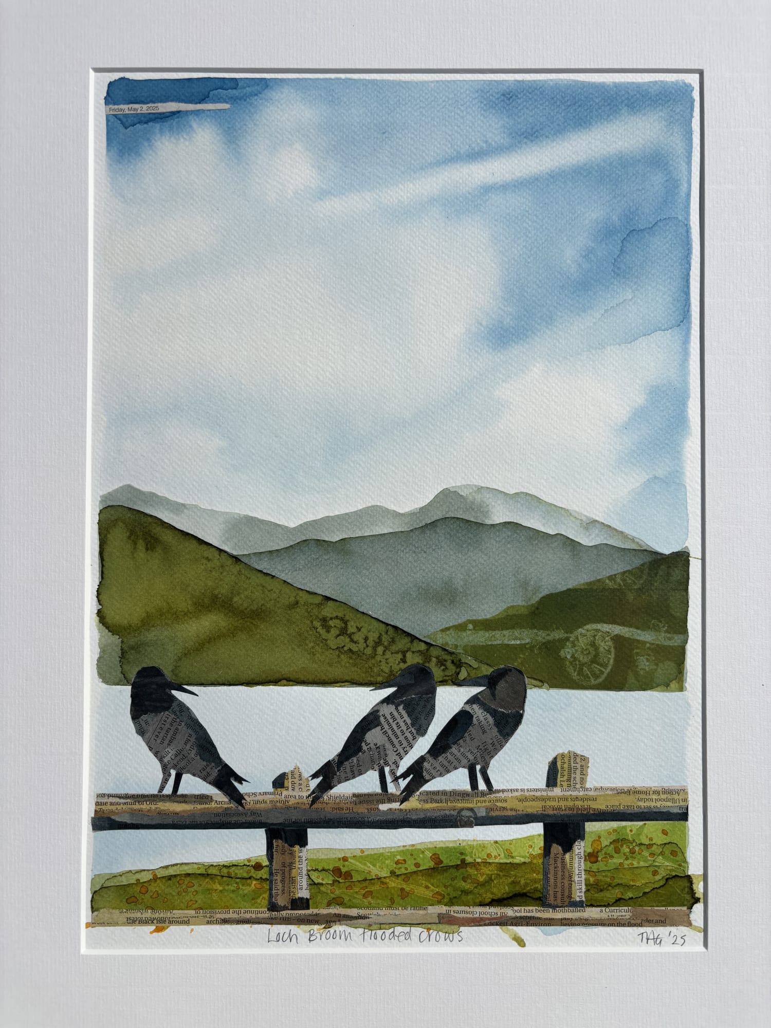 Tamsin Gilham, Loch Broom Hooded Crows, 2025