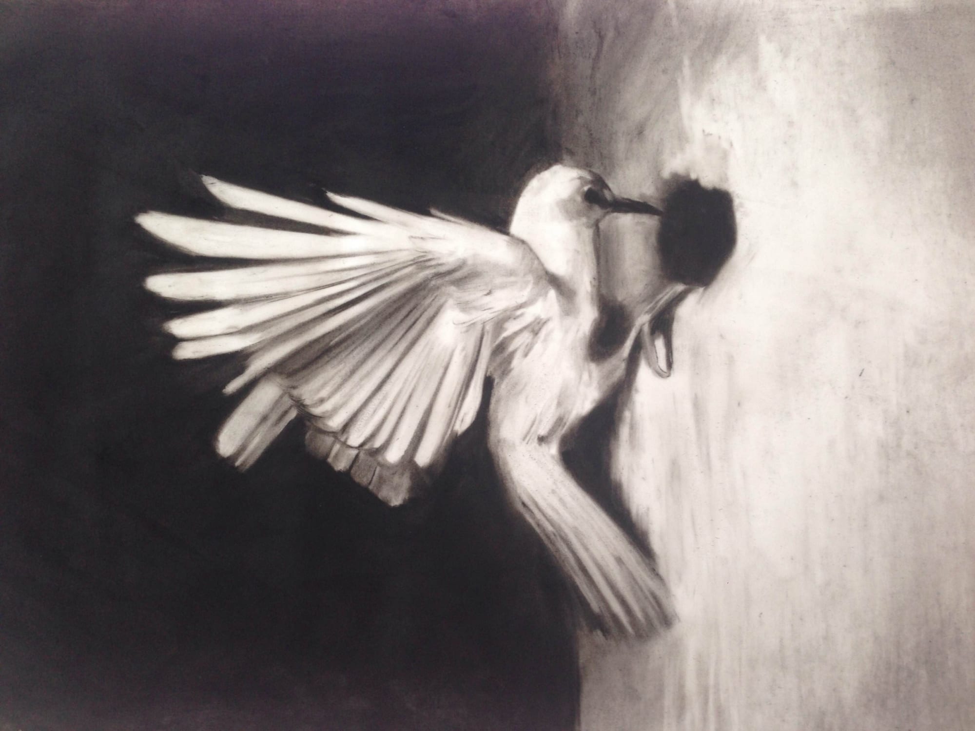 Douglas Stichbury | Punctum Field