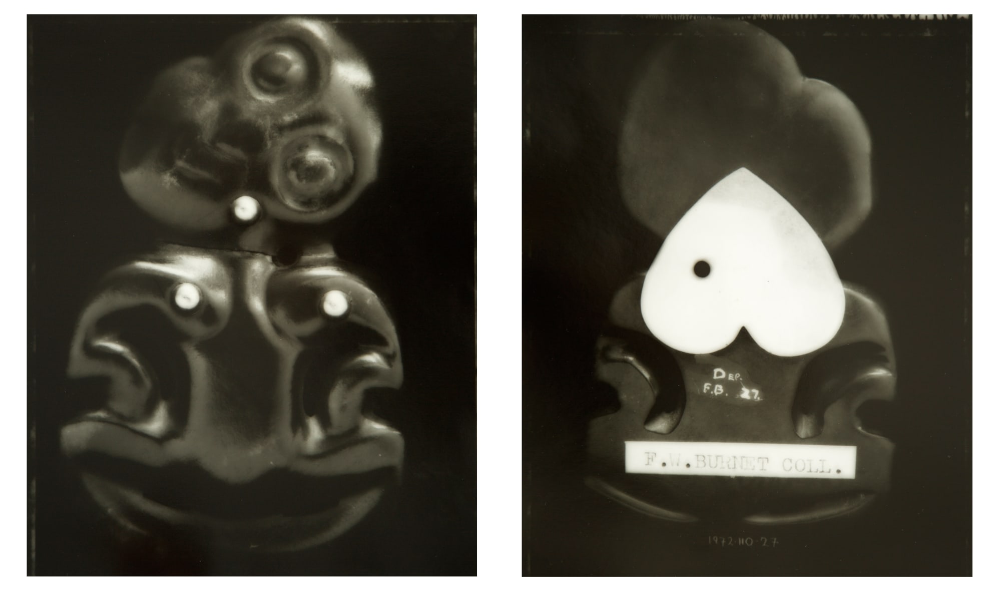 Fiona Pardington | In My Dreaming I Saw MOEA IHO NEI I AU