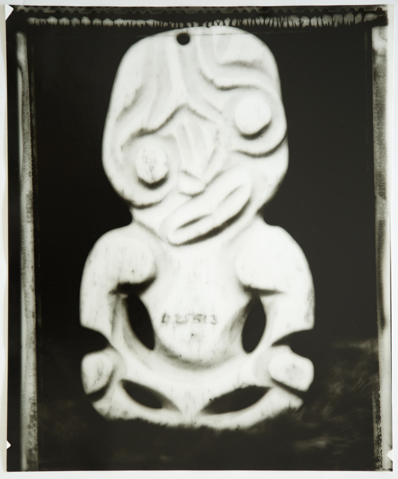 Fiona Pardington | In My Dreaming I Saw MOEA IHO NEI I AU