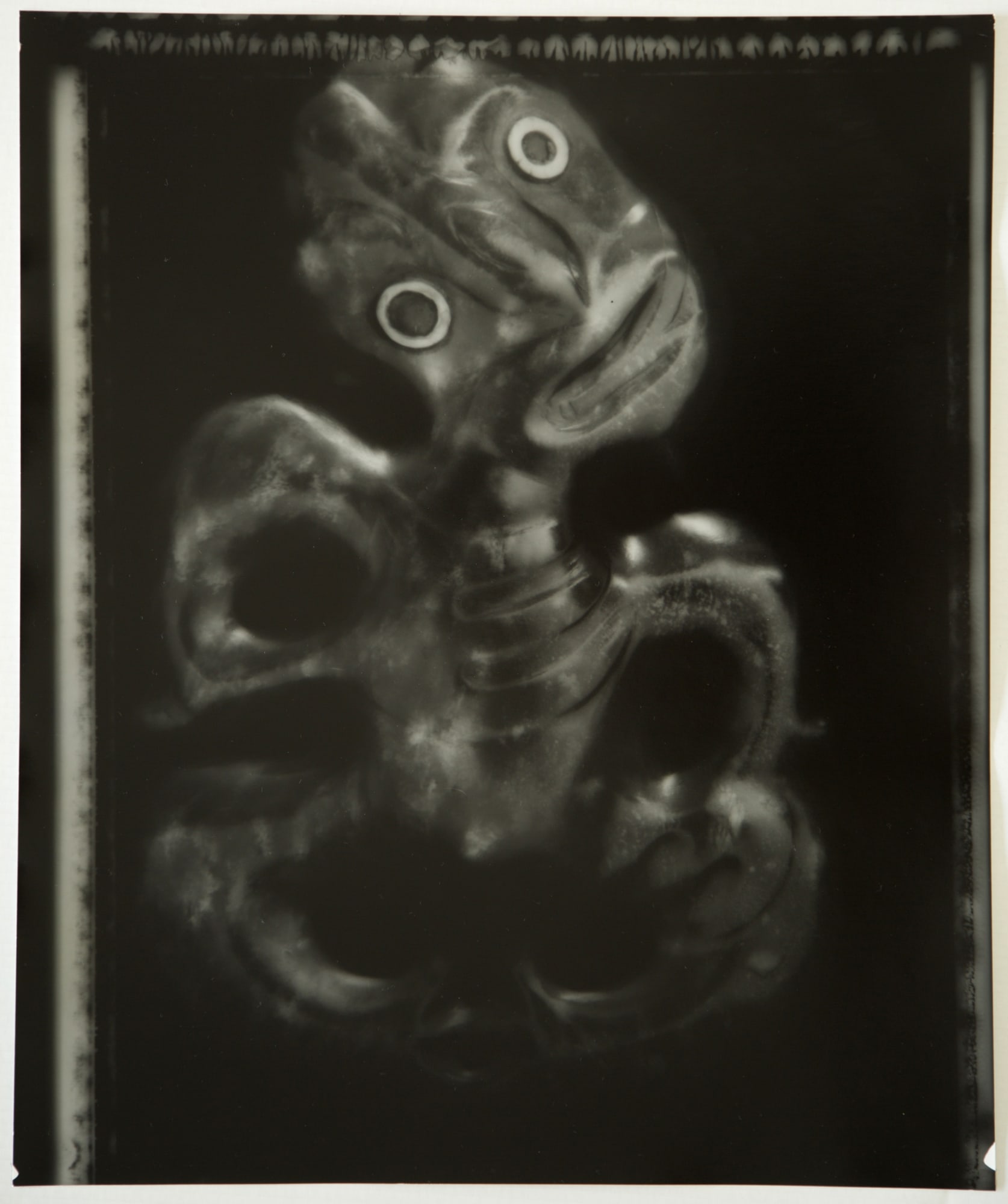 Fiona Pardington | In My Dreaming I Saw MOEA IHO NEI I AU