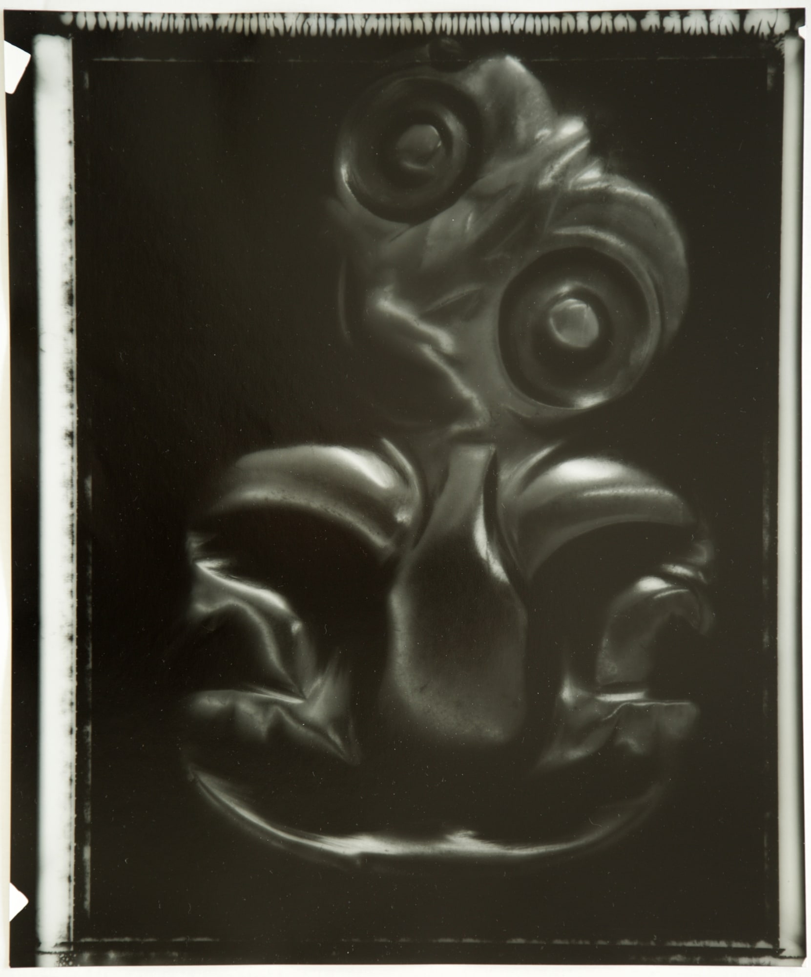 Fiona Pardington | In My Dreaming I Saw MOEA IHO NEI I AU