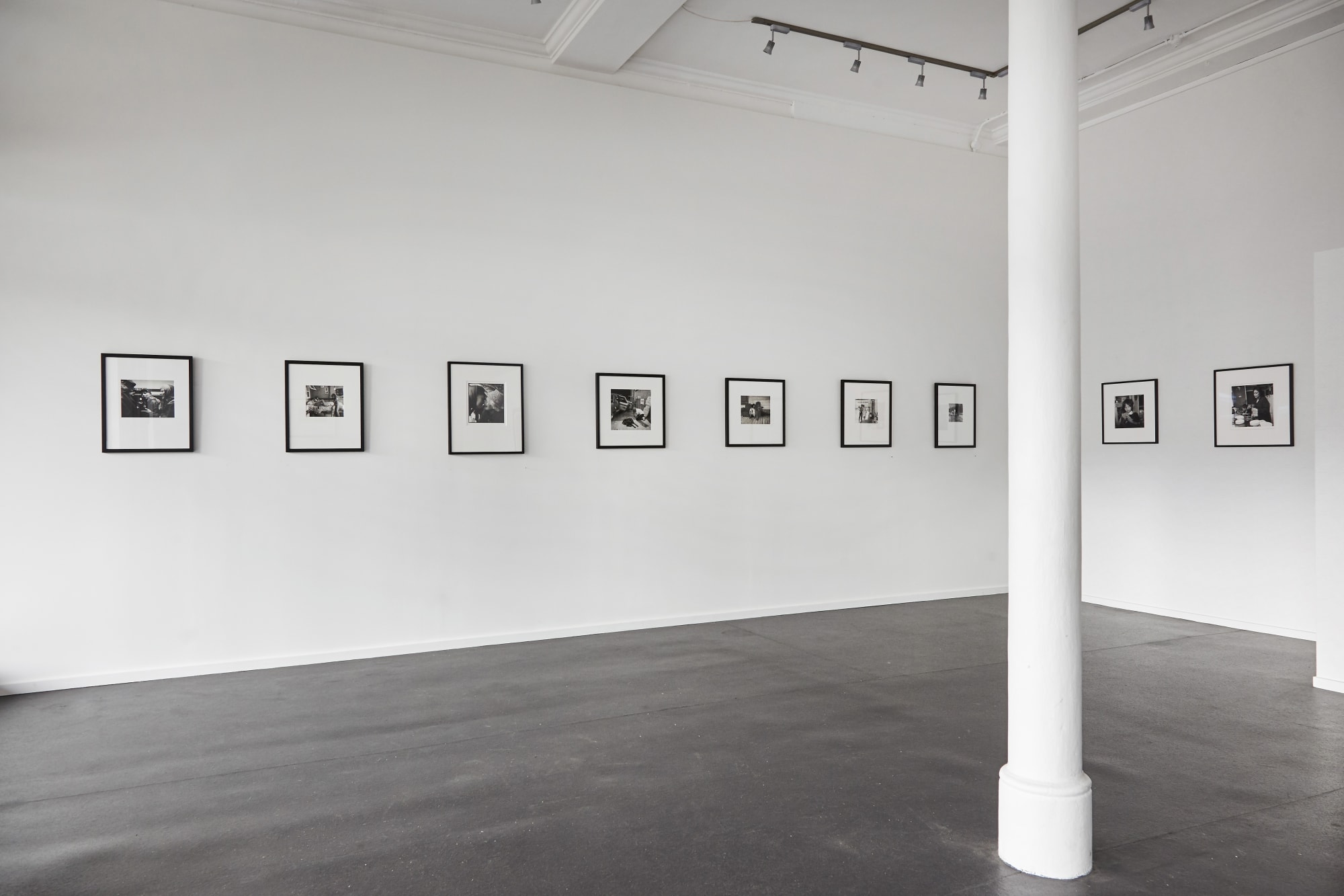 Ans Westra | Honorary Doctorate Exhibition