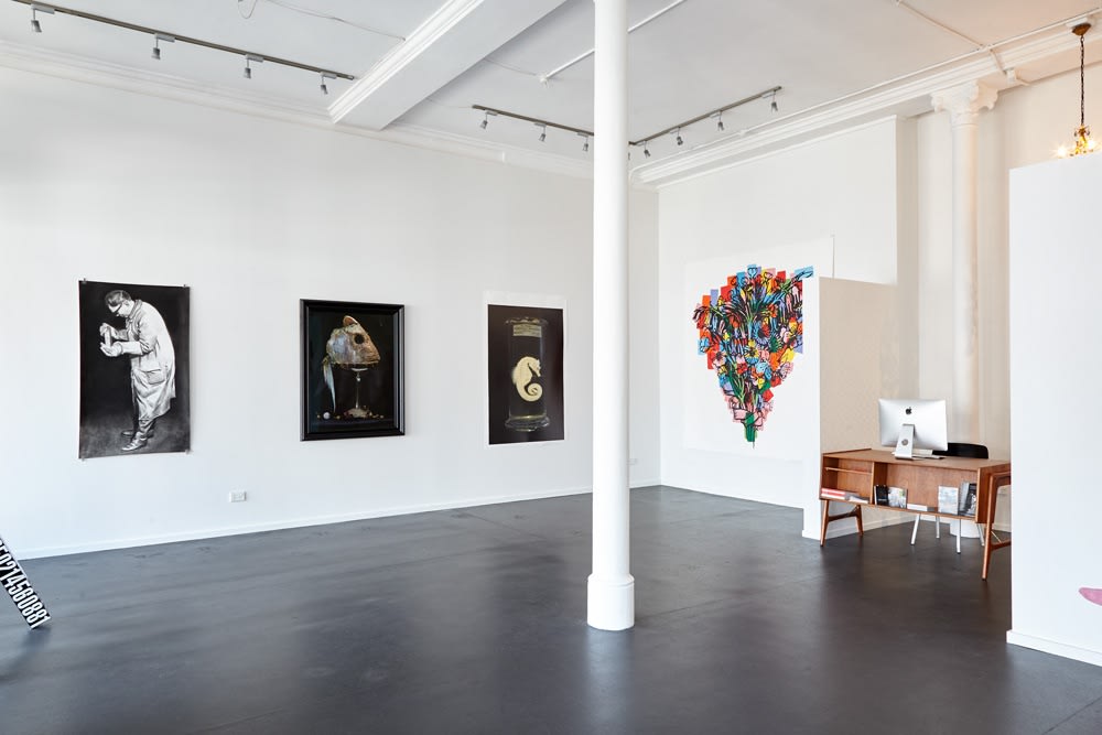 Grand Opening Exhibition @ 241 Cuba St, Wellington
