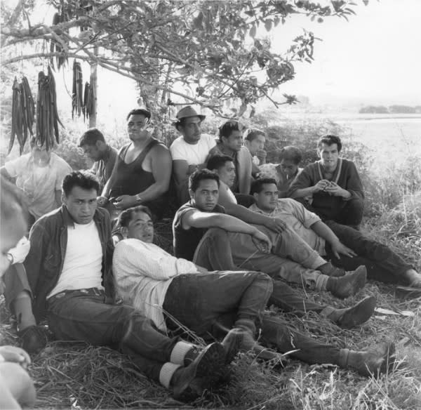 Ans Westra | Tuhoe Images