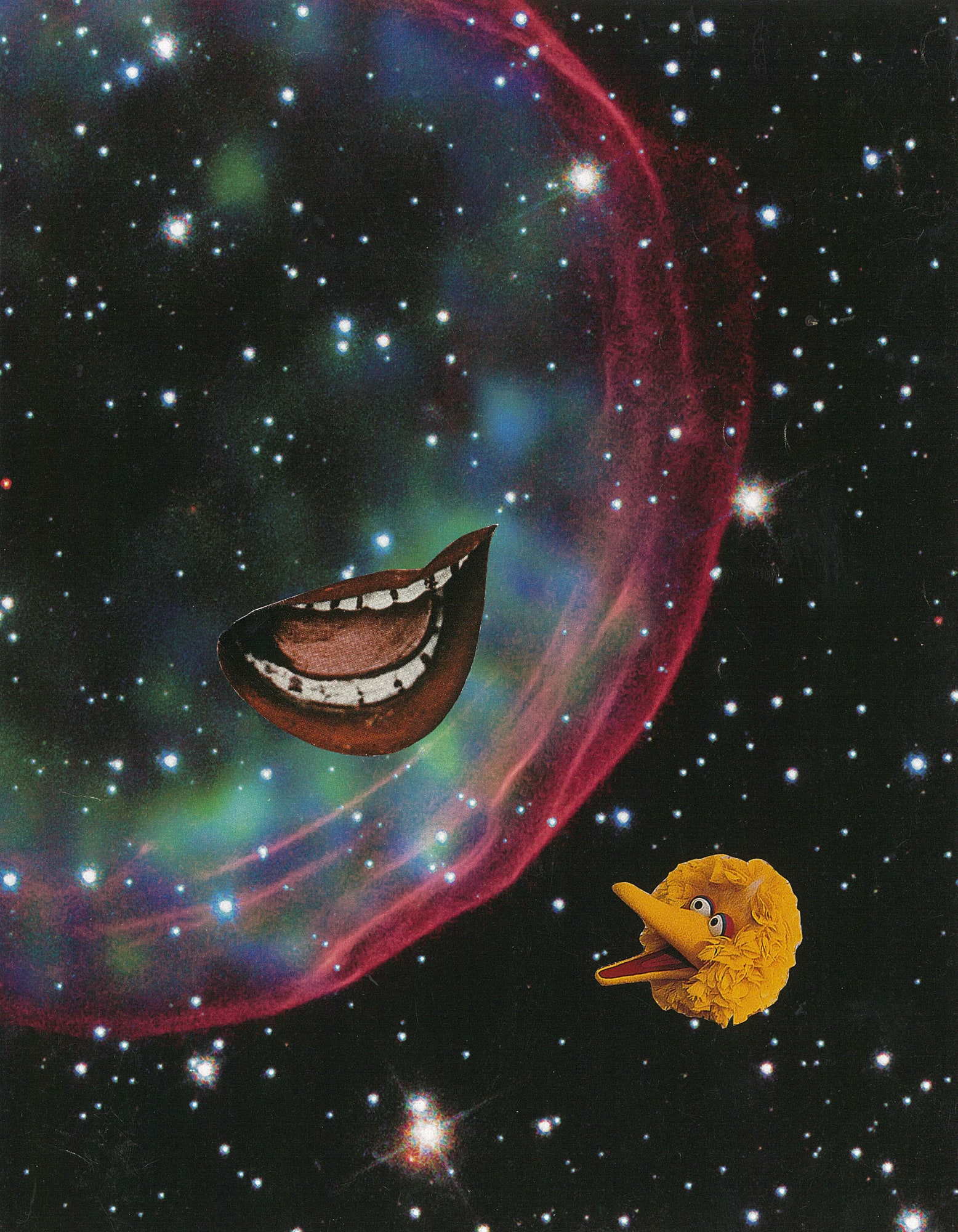 Wayne Youle | Maiden Voyage