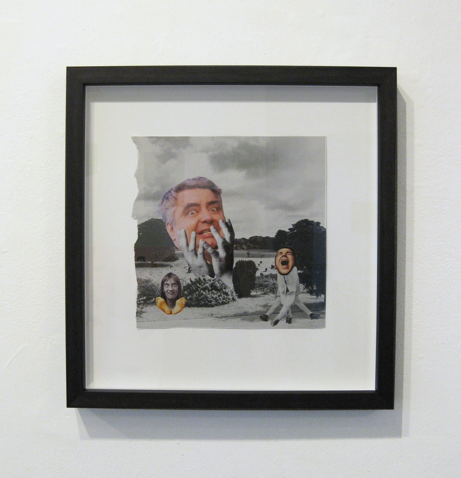 Rob Cherry | Big People Little Trees