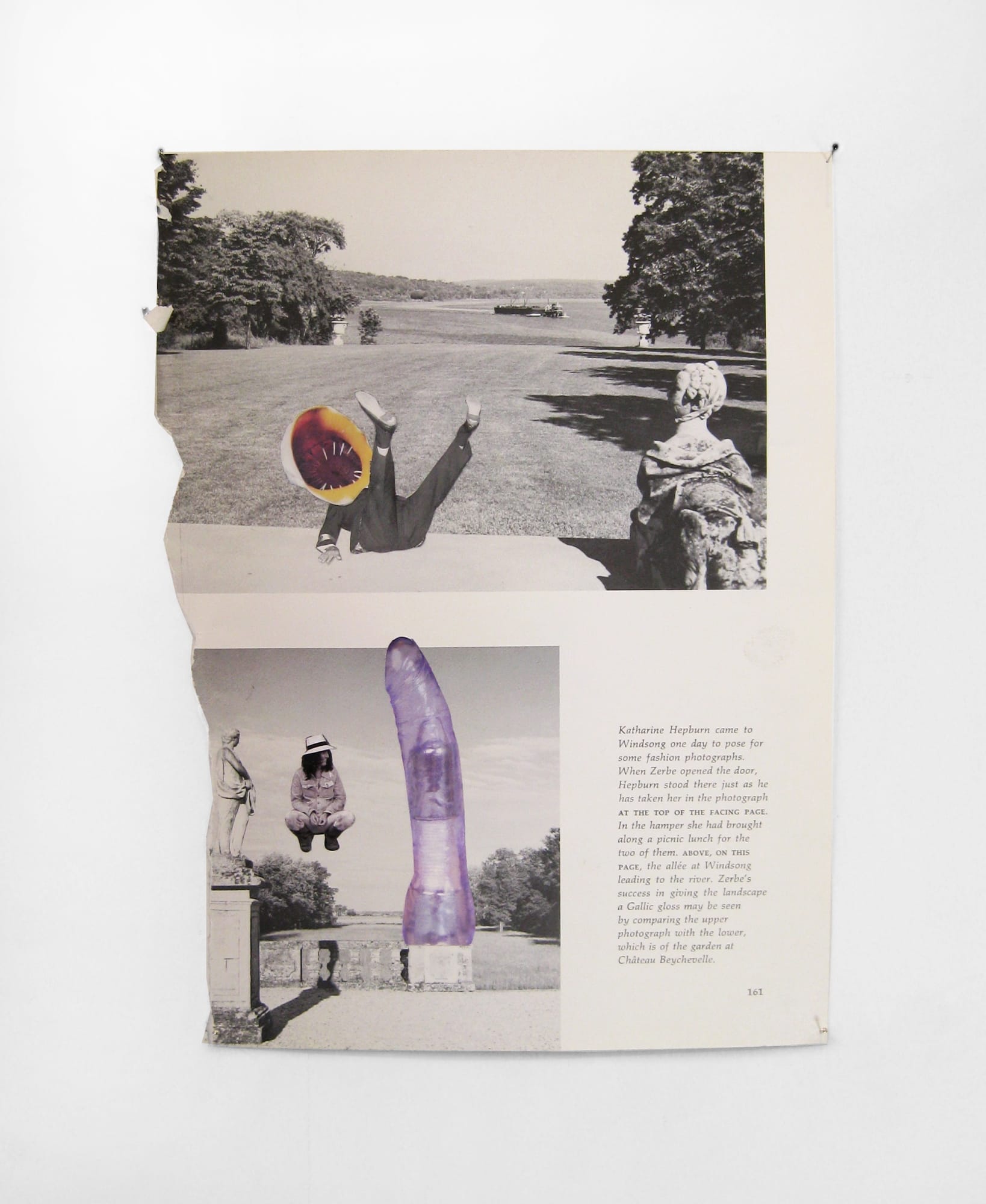 Rob Cherry | Big People Little Trees