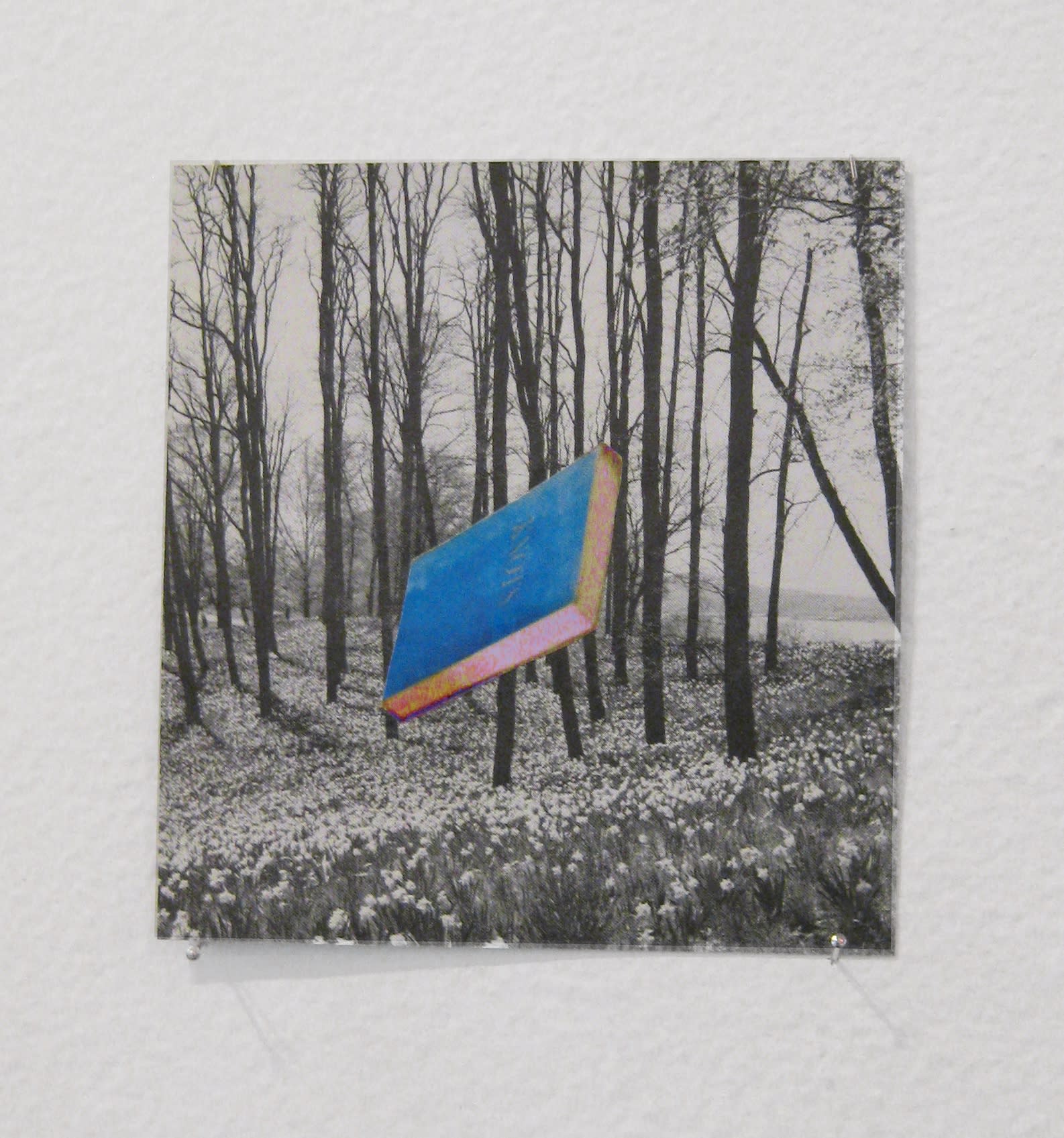 Rob Cherry | Big People Little Trees