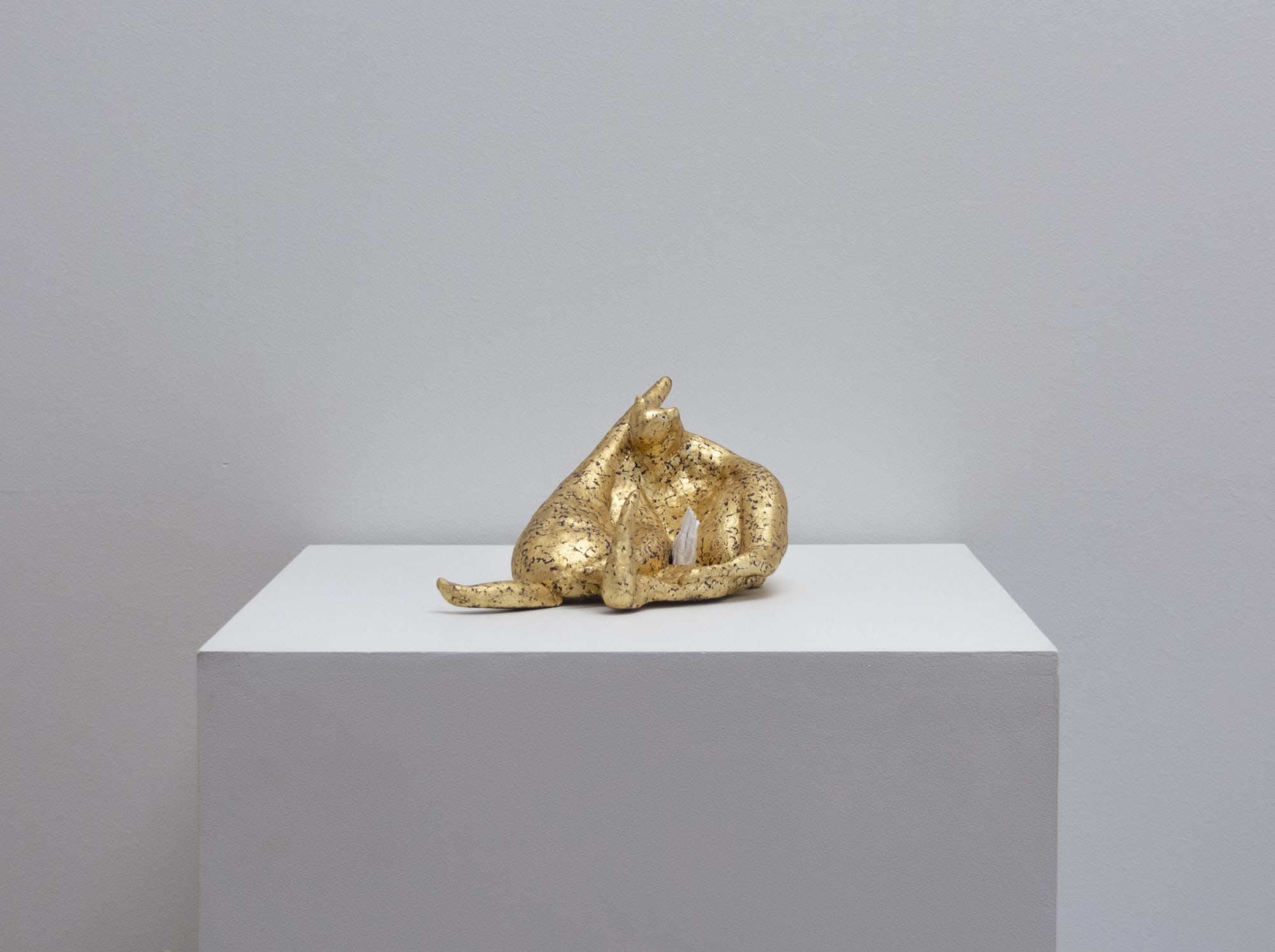 Angela Singer | Zzzoonotic