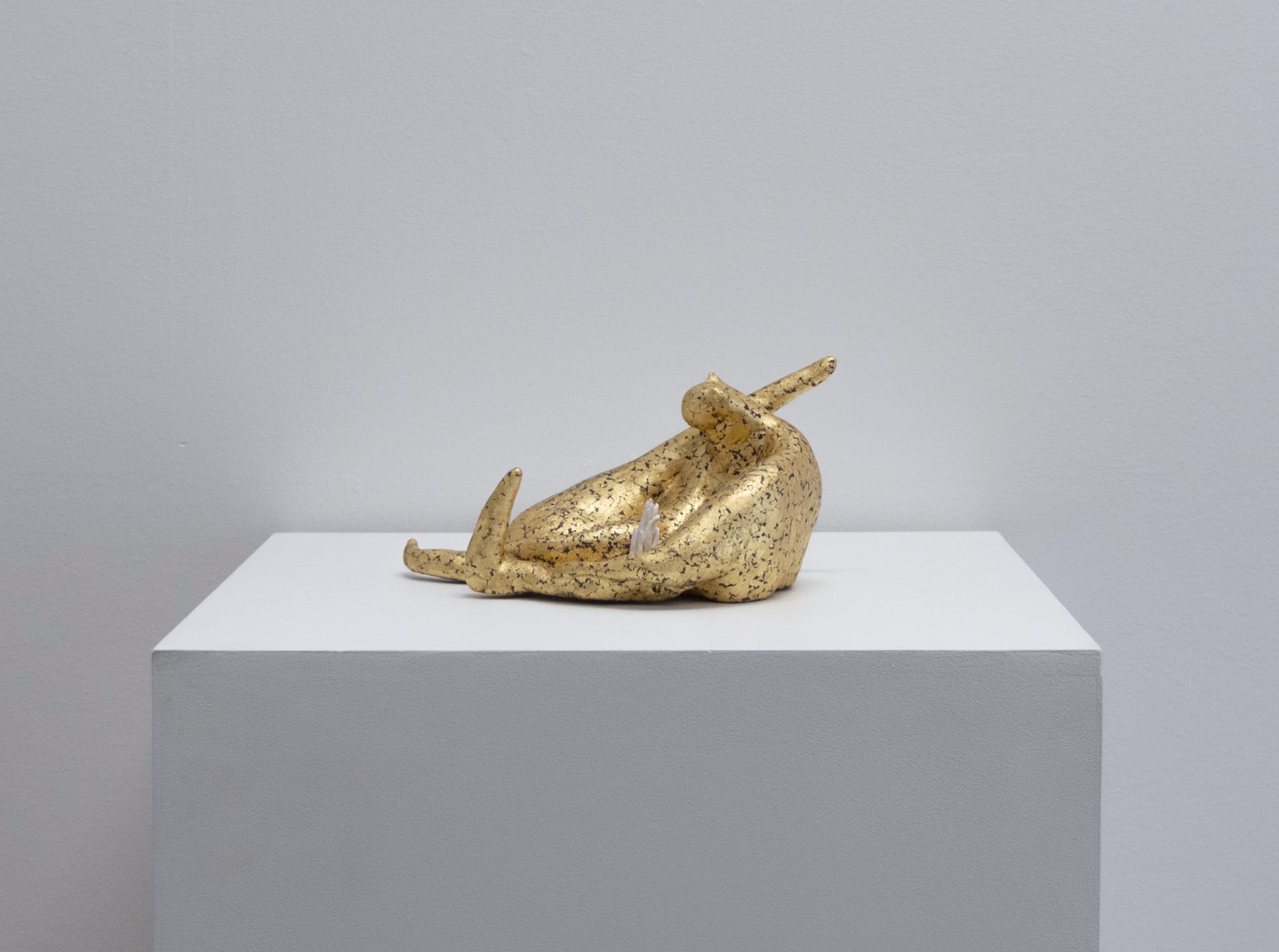 Angela Singer | Zzzoonotic