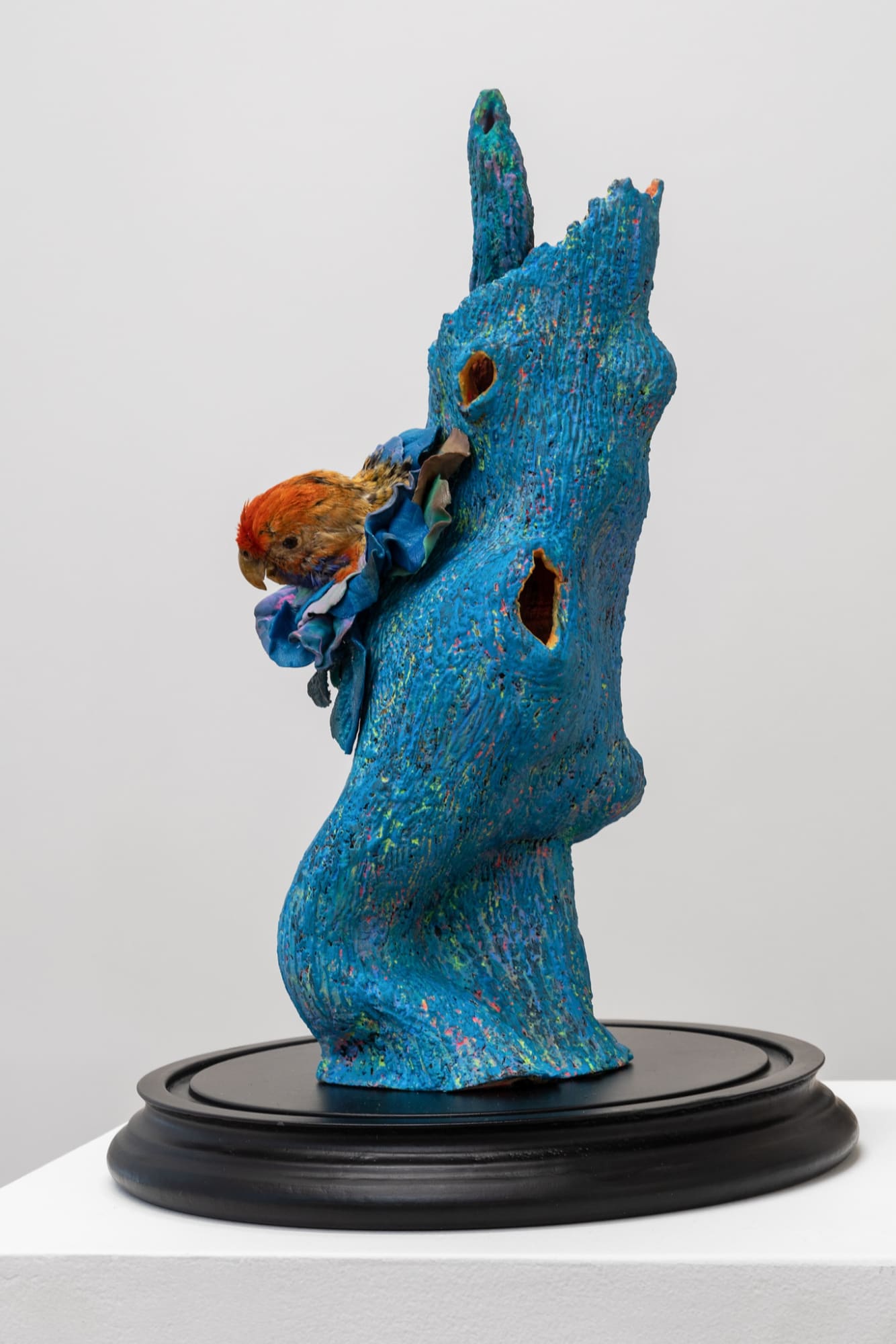 Angela Singer | Zzzoonotic