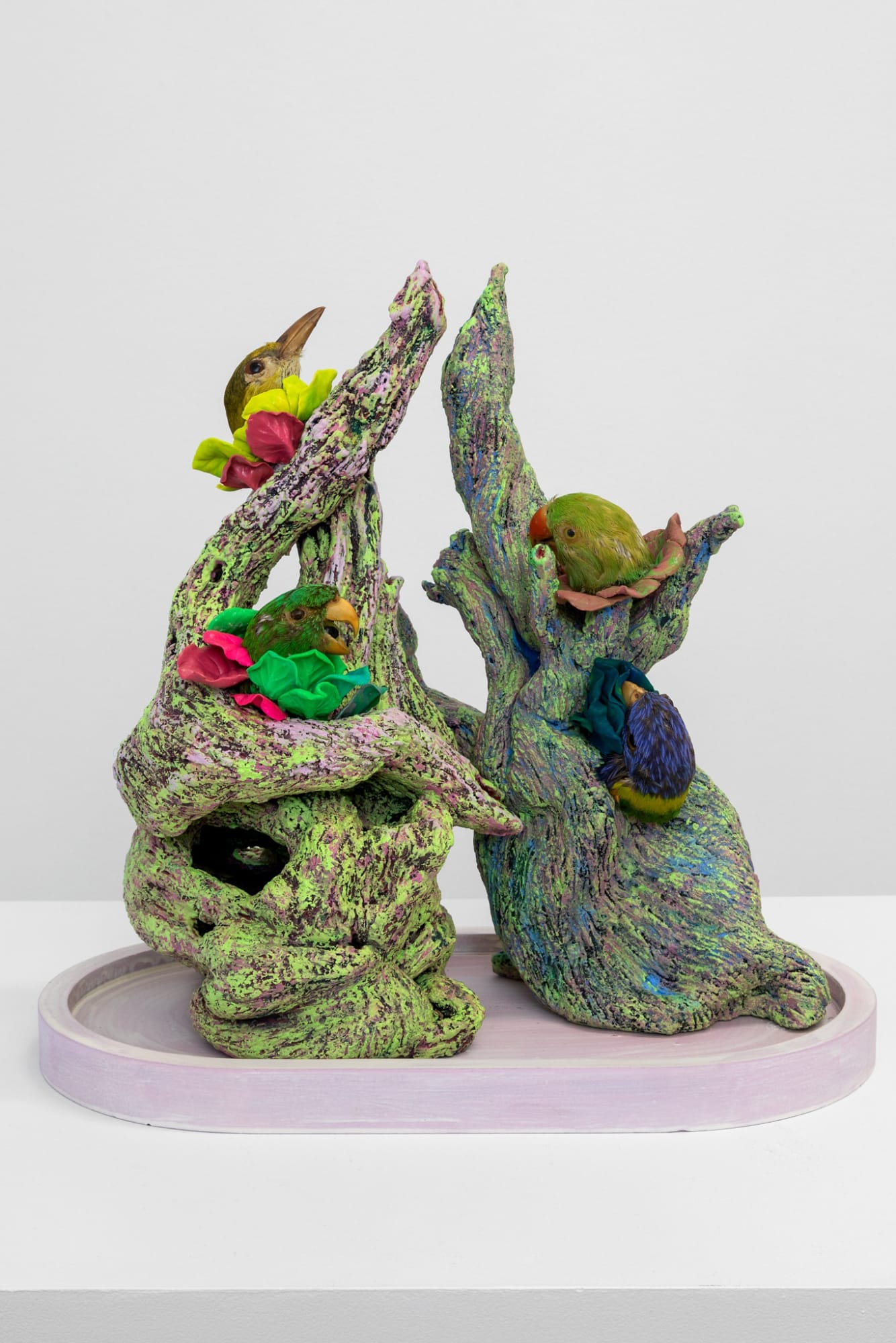 Angela Singer | Zzzoonotic