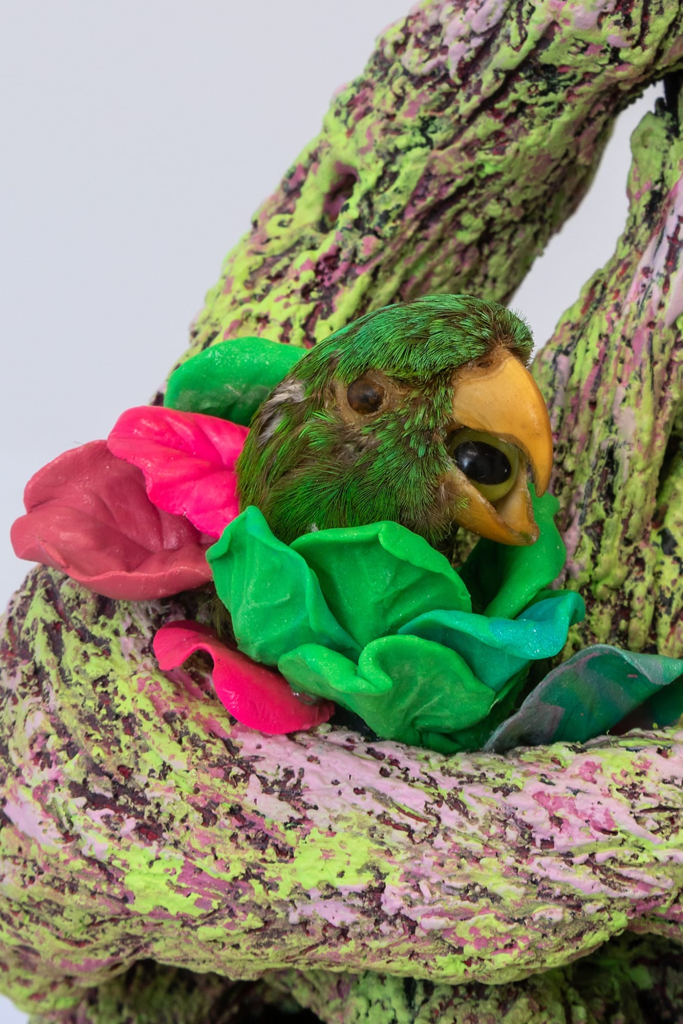 Angela Singer | Zzzoonotic