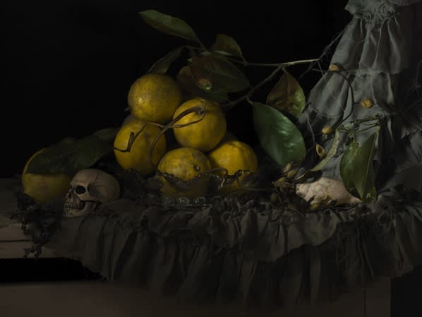 Fiona Pardington | Flora, Fauna