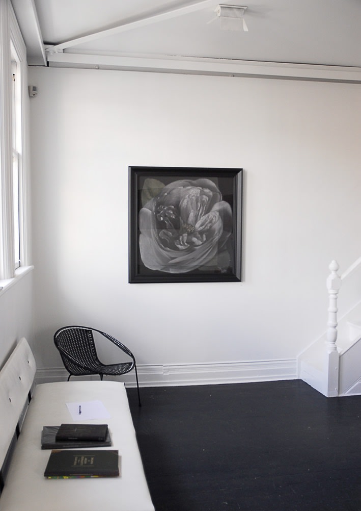 Fiona Pardington | Immortally Yours