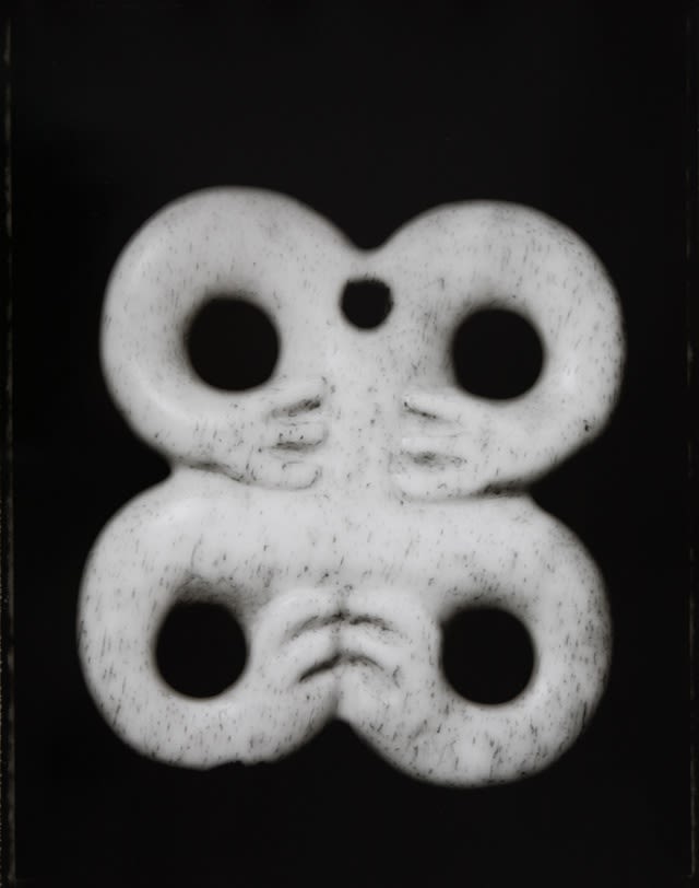 Fiona Pardington | Arise