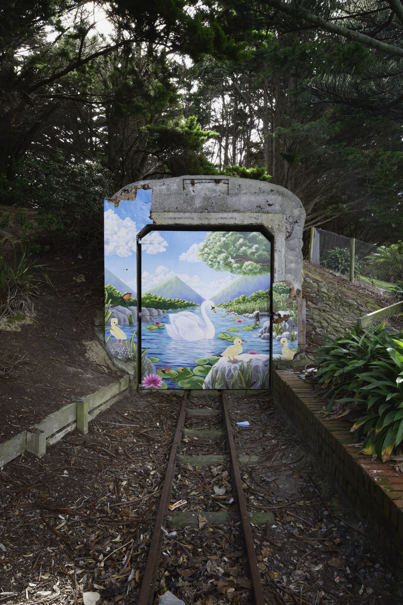 Neil Pardington | Pūtahi / Confluence