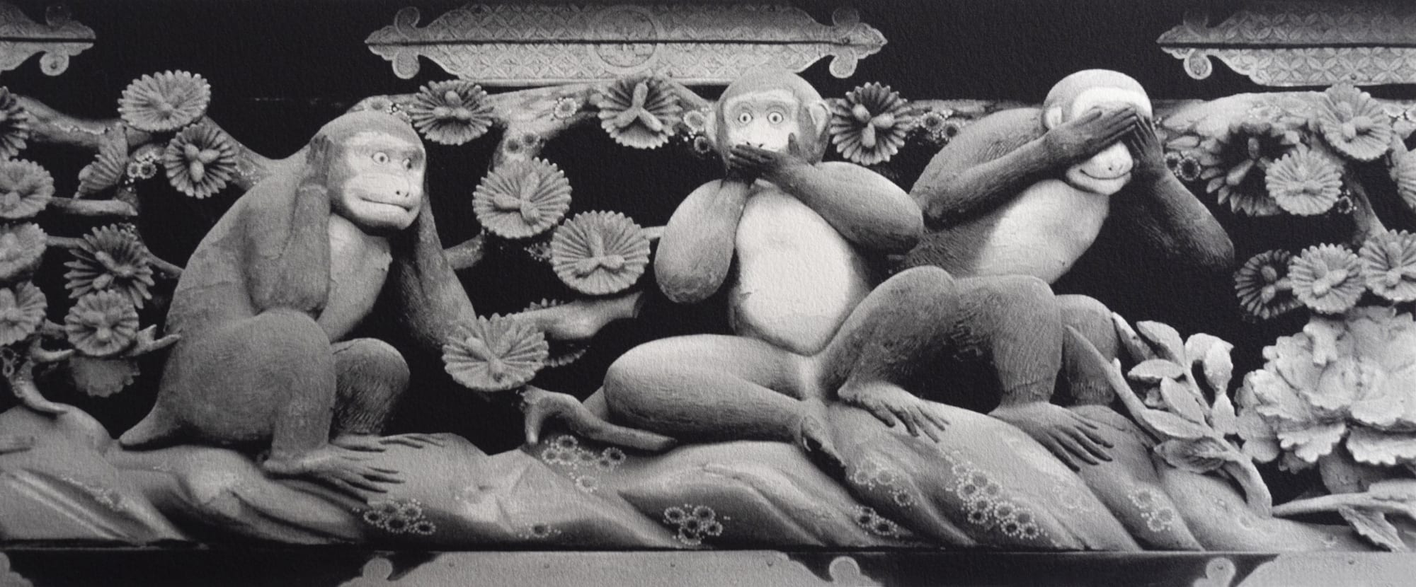 Peter Peryer | Wanted Dead or Alive