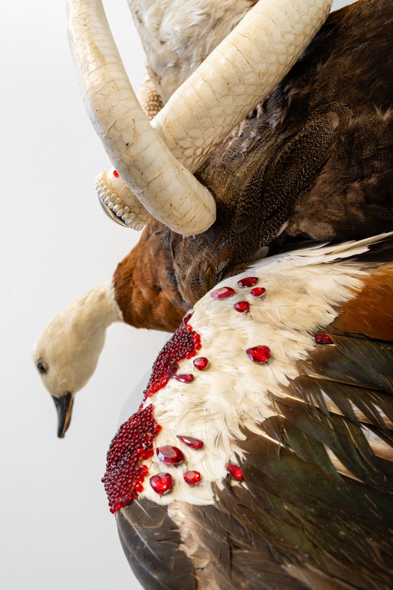 Angela Singer | Light Remains