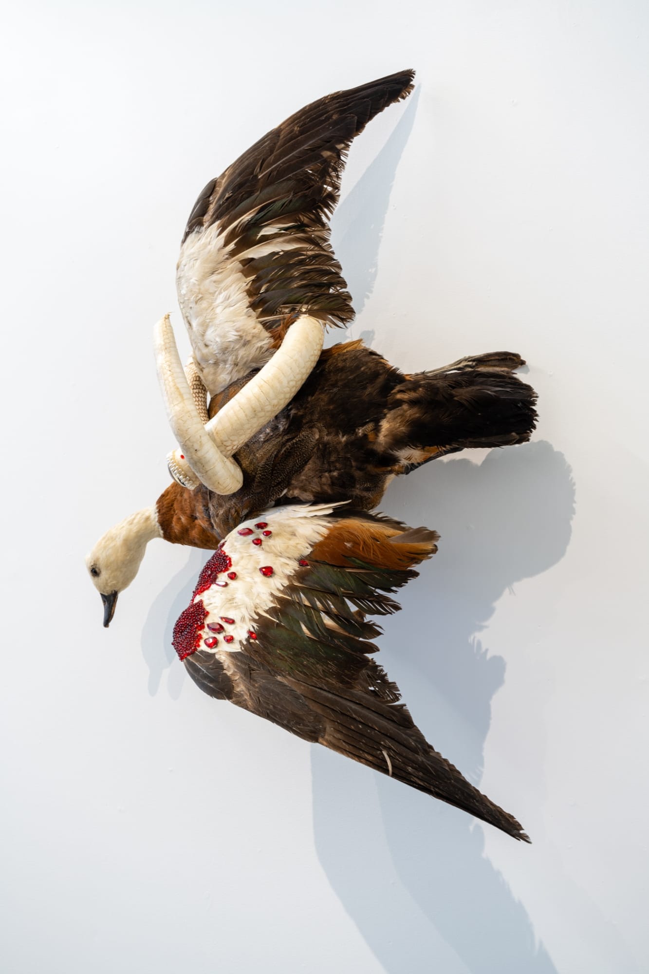 Angela Singer | Light Remains