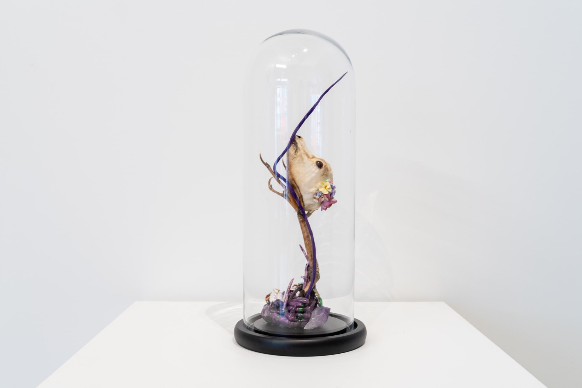 Angela Singer | Light Remains