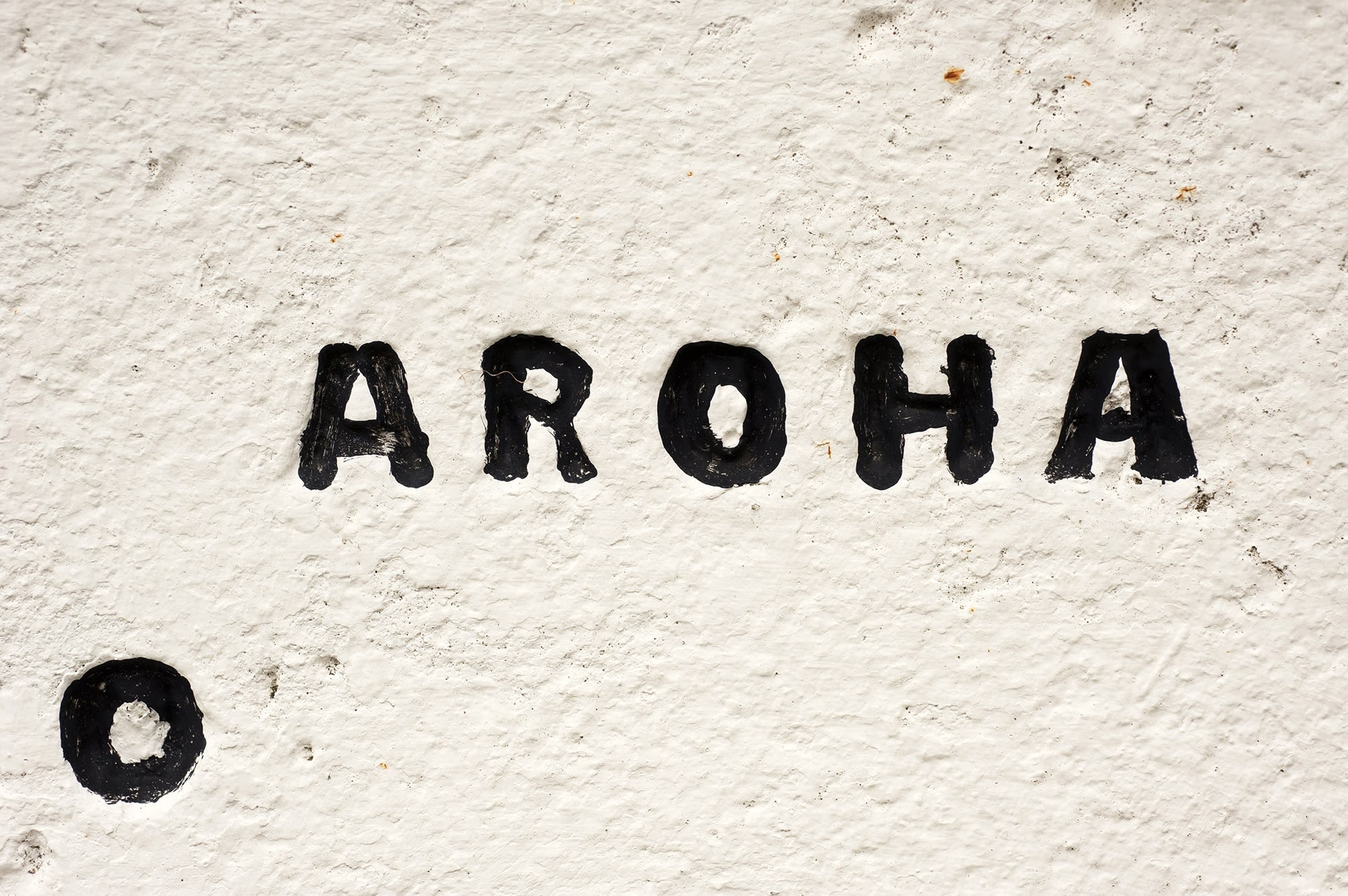 Bruce Connew | A Vocabulary