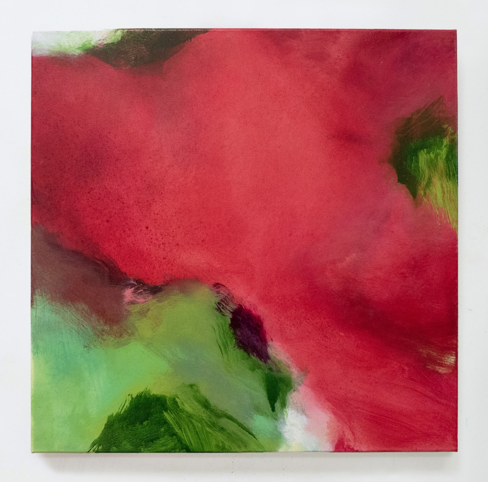 Amanda Gruenwald | Superimposed Fields