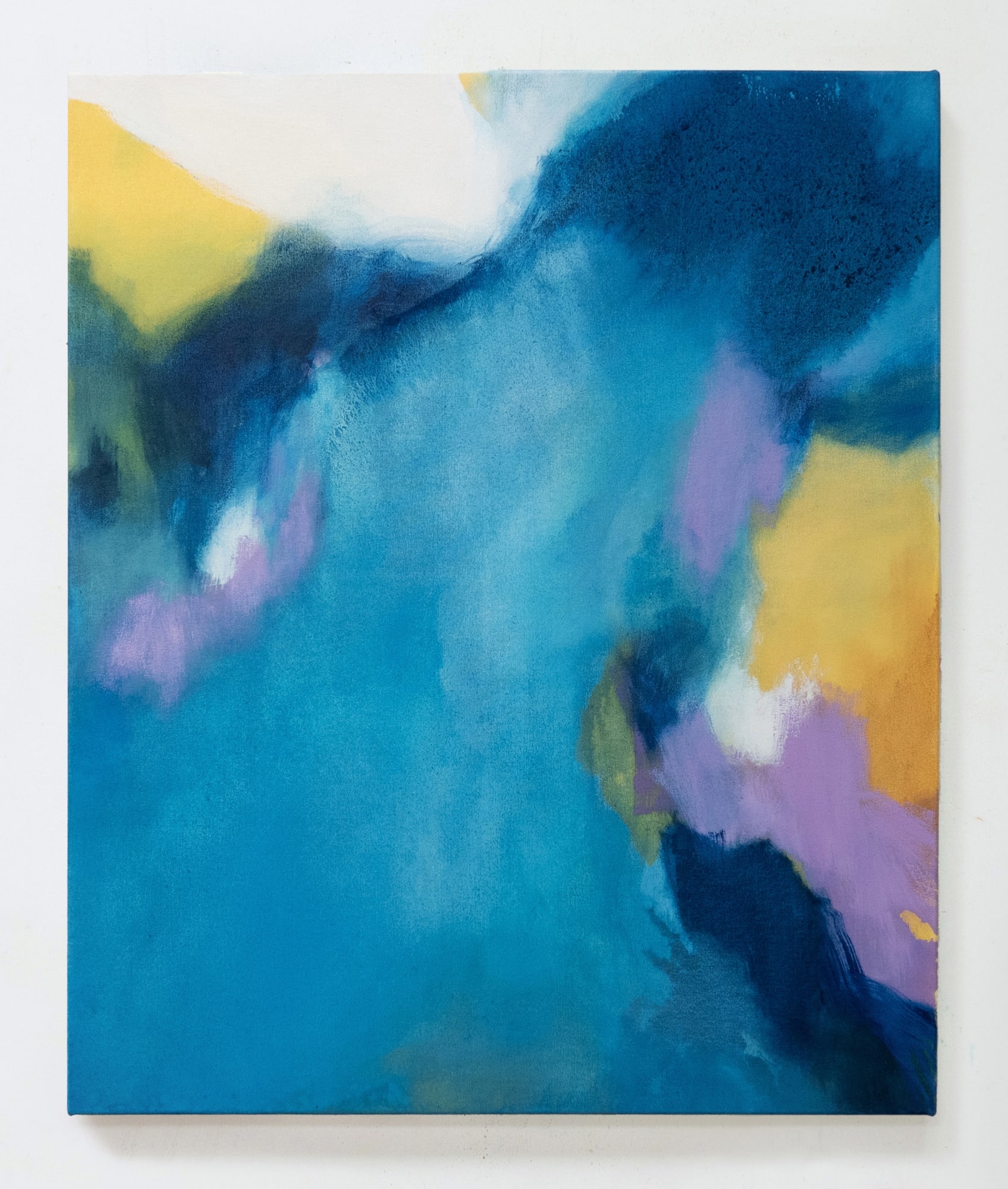 Amanda Gruenwald | Superimposed Fields