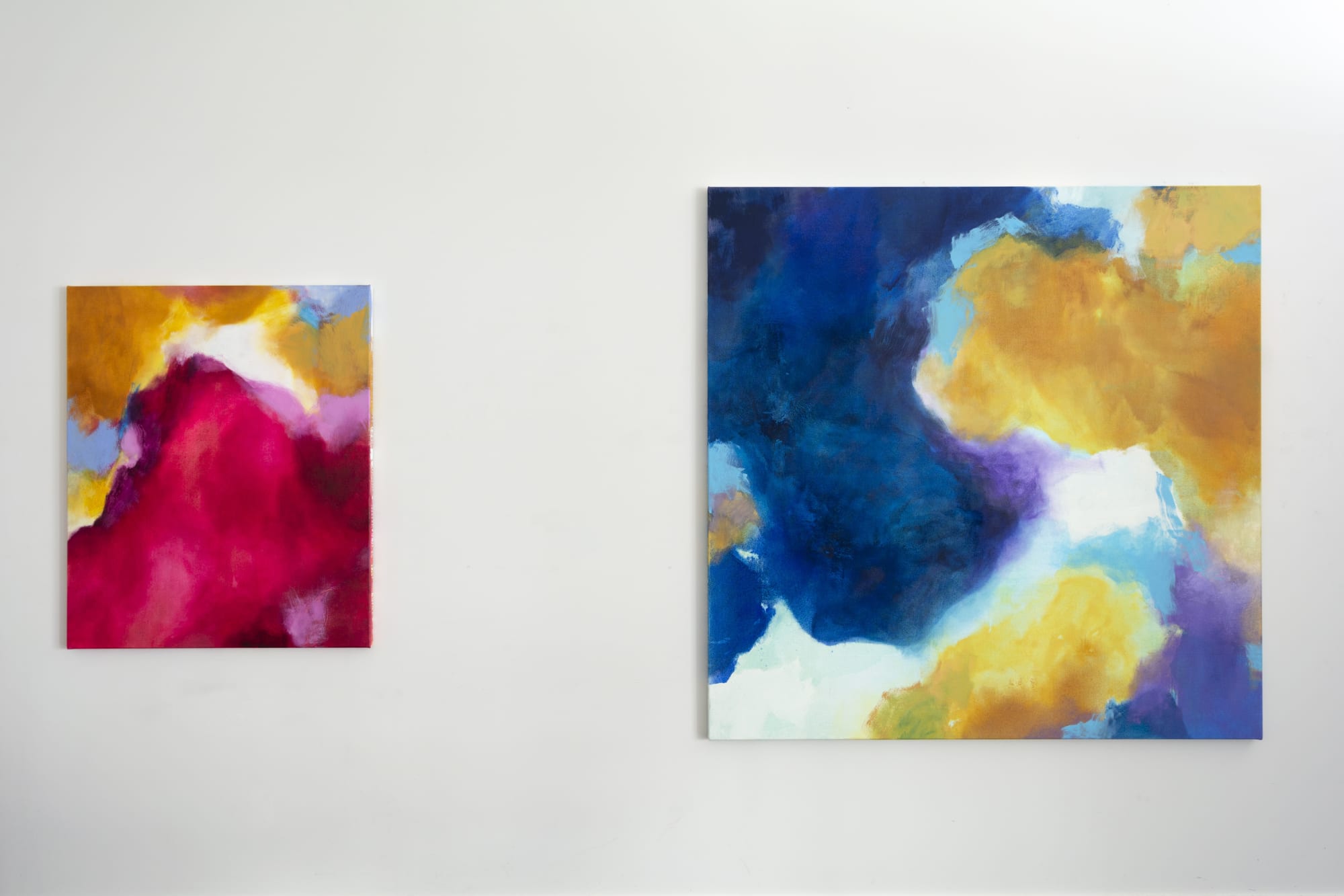 Amanda Gruenwald | Superimposed Fields