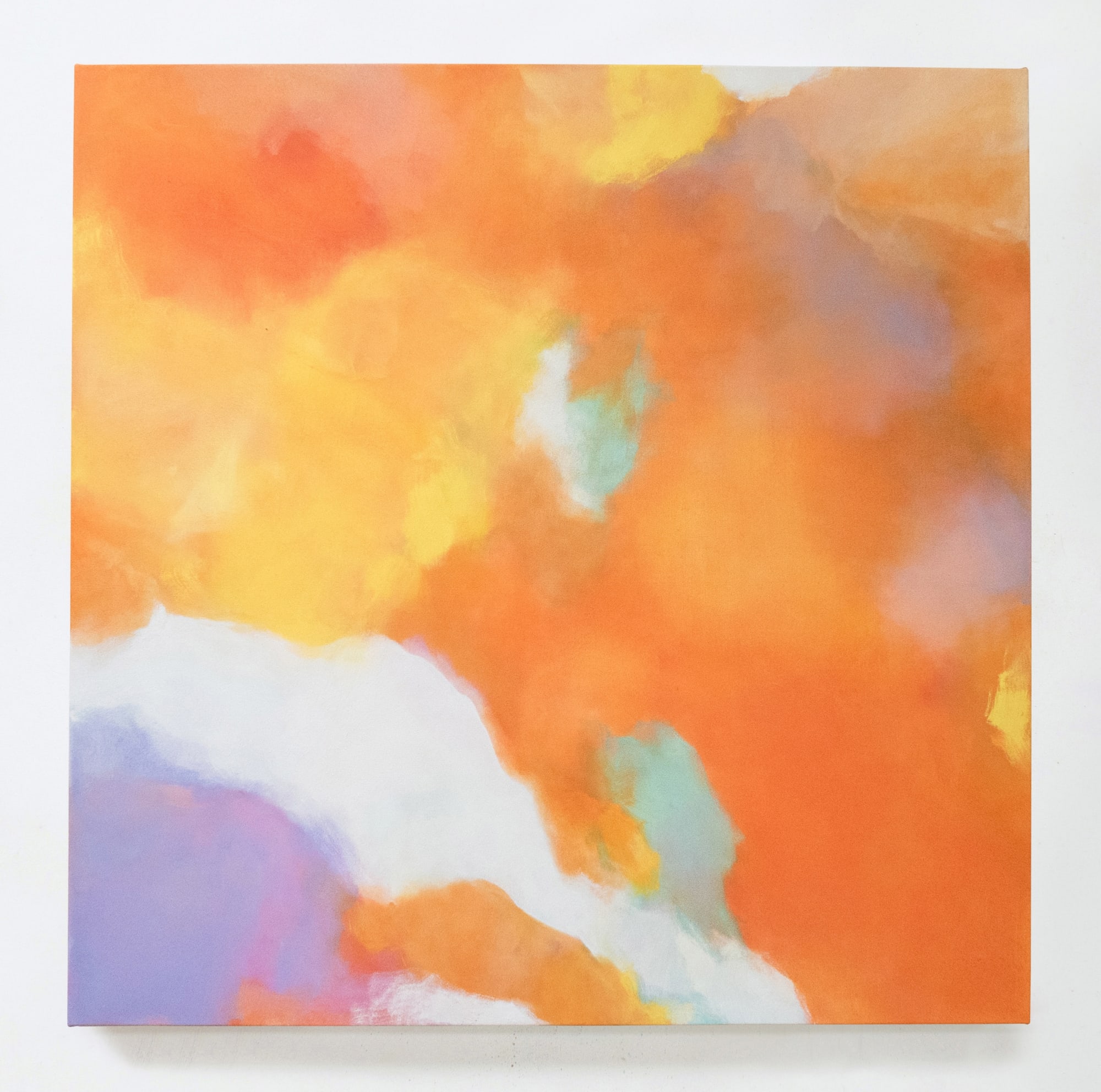 Amanda Gruenwald | Superimposed Fields