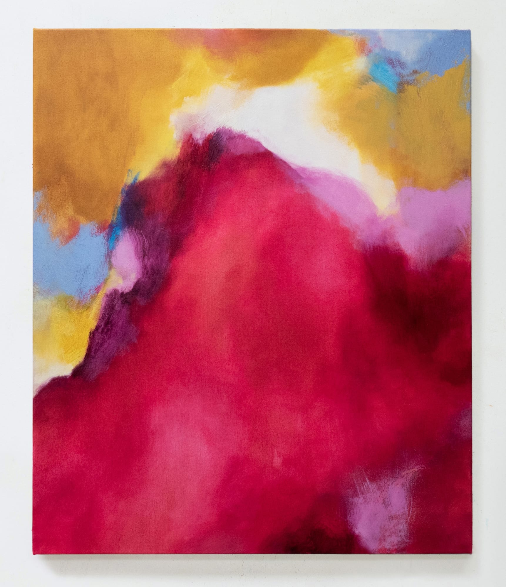 Amanda Gruenwald | Superimposed Fields