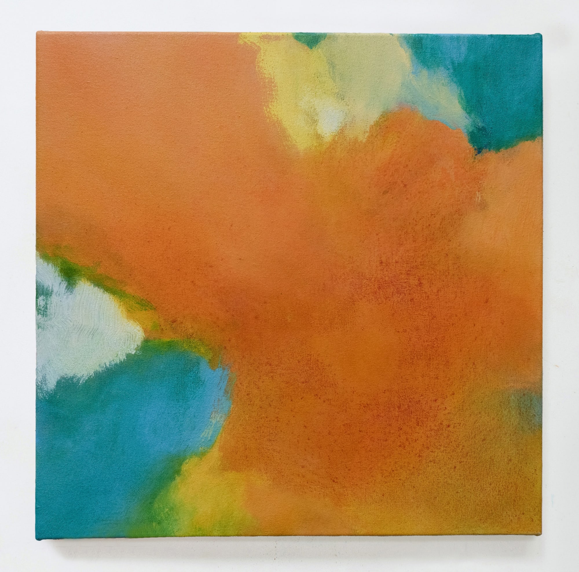 Amanda Gruenwald | Superimposed Fields
